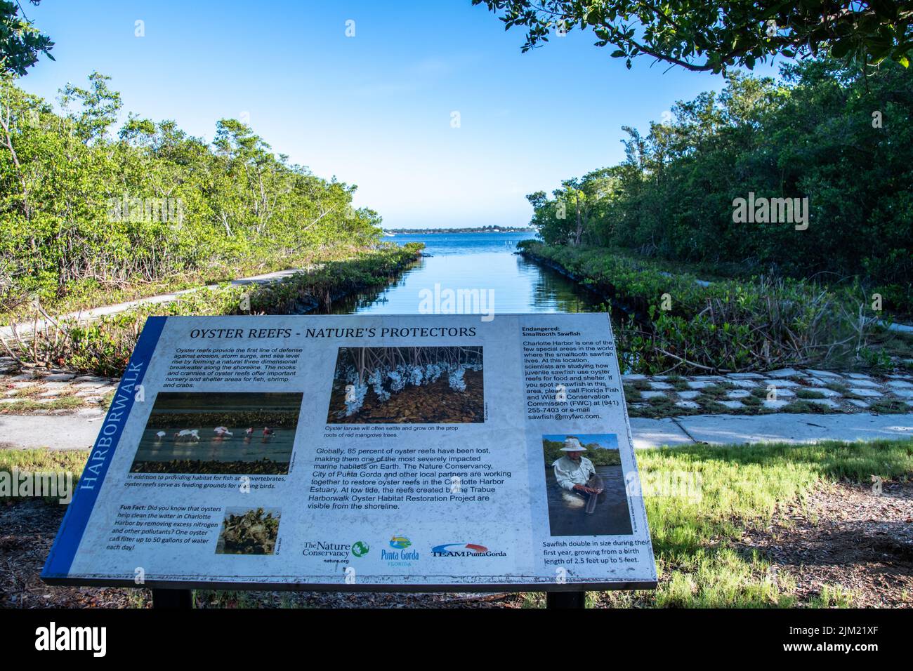 HarborWalk a Punta Gorda Florida corre lungo il Peace River nella contea di Charlotte e collega cinque parchi. Il Harbourwalk è stato reso possibile perché Isa Foto Stock