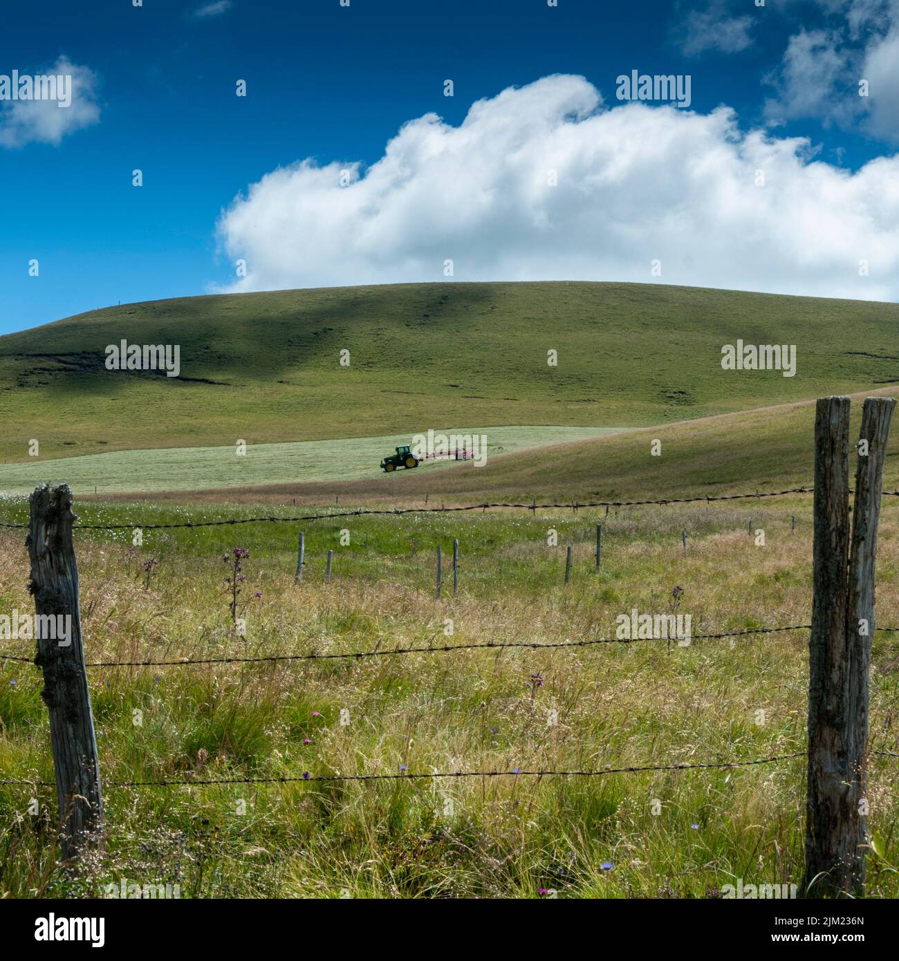 Trattore in un campo in Massiccio di Sancy, Parco Naturale dei Vulcani d'Alvernia , dipartimento di Puy de Dome, Auvergne Rodano Alpi, Francia Foto Stock