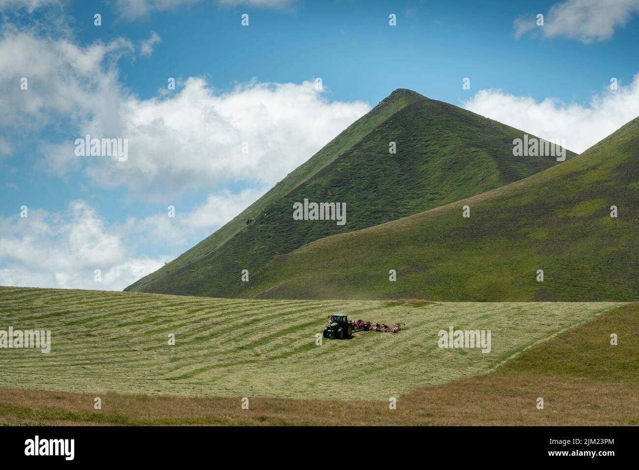 Trattore in un campo in Massiccio di Sancy, Parco Naturale dei Vulcani d'Alvernia , dipartimento di Puy de Dome, Auvergne Rodano Alpi, Francia Foto Stock