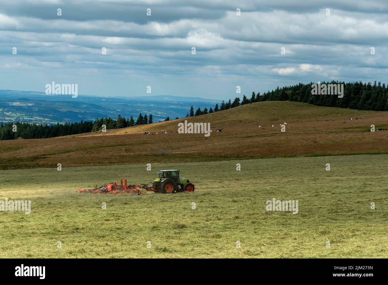 Trattore in un campo in Massiccio di Sancy, Parco Naturale dei Vulcani d'Alvernia , dipartimento di Puy de Dome, Auvergne Rodano Alpi, Francia Foto Stock