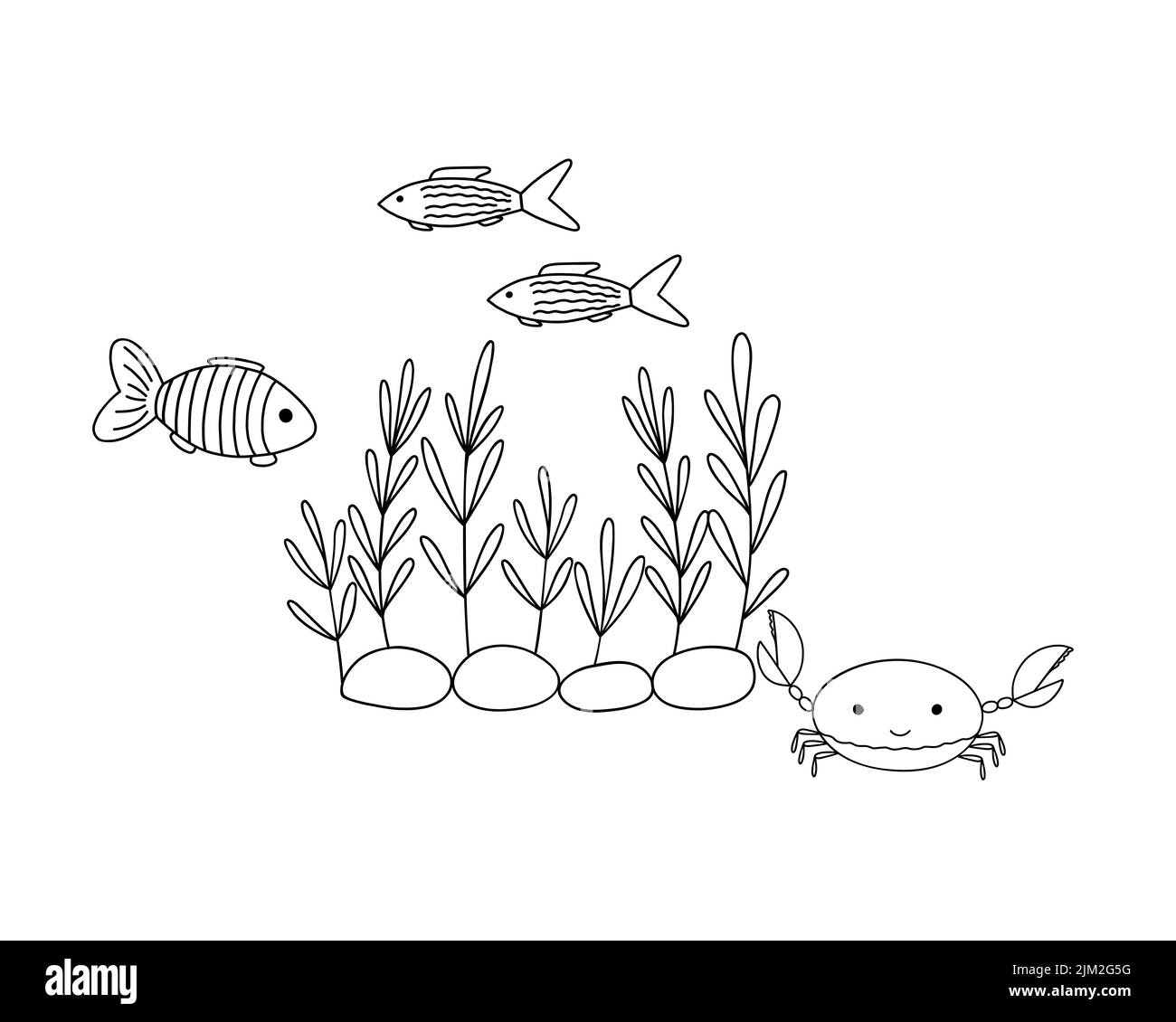 Profilo subacqueo alghe, granchio carino e nuoto pesci vettore illustrazione composizione, vita marina composizione per la pagina di colorazione, attività per bambini tempo libero, acquario flora cartoon immagine Illustrazione Vettoriale