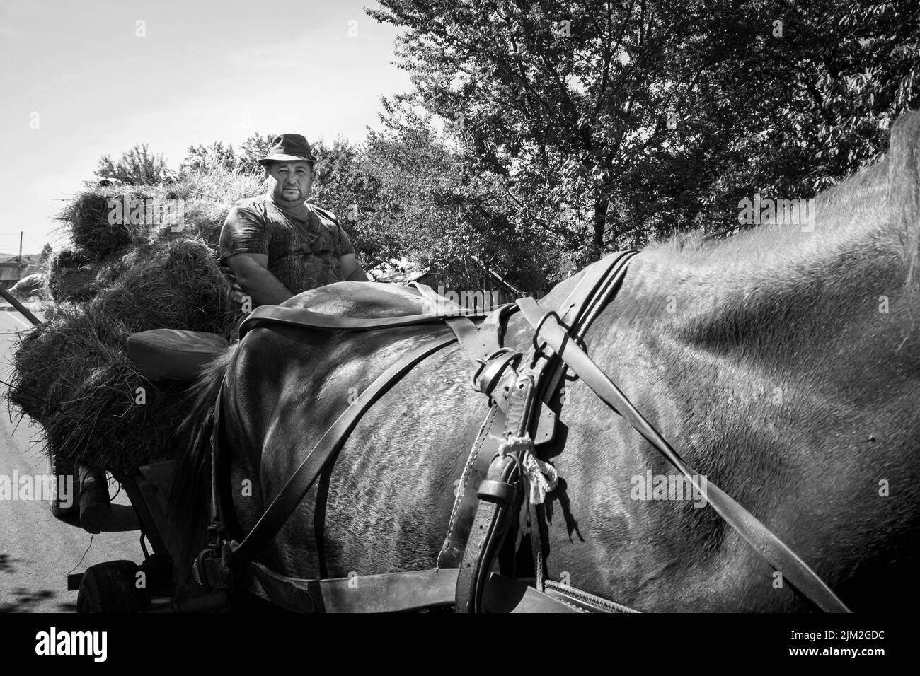 Romania, Transilvania, Dorolea, vita quotidiana in campagna Foto Stock