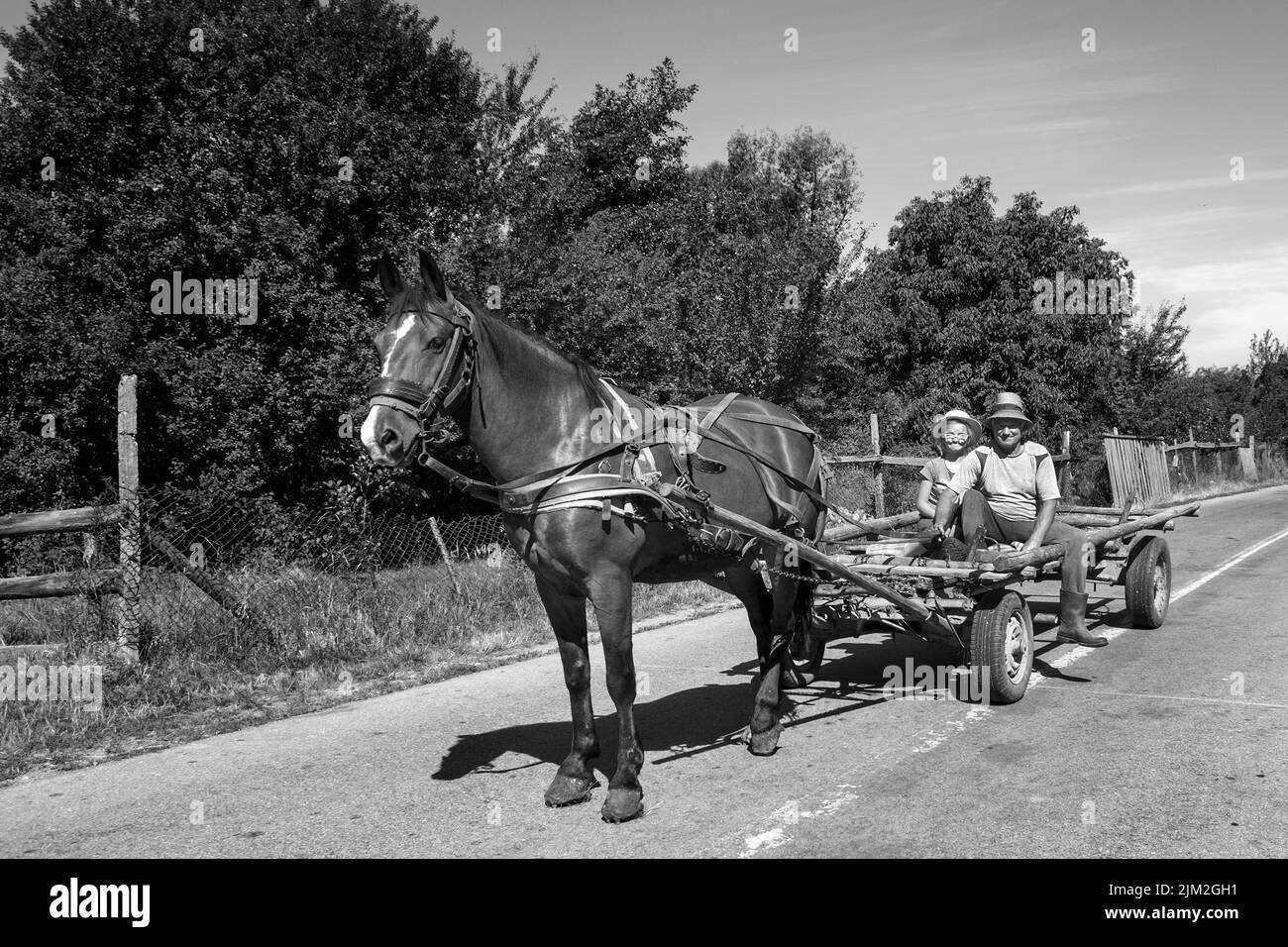 Romania, Transilvania, Dorolea, vita quotidiana in campagna Foto Stock