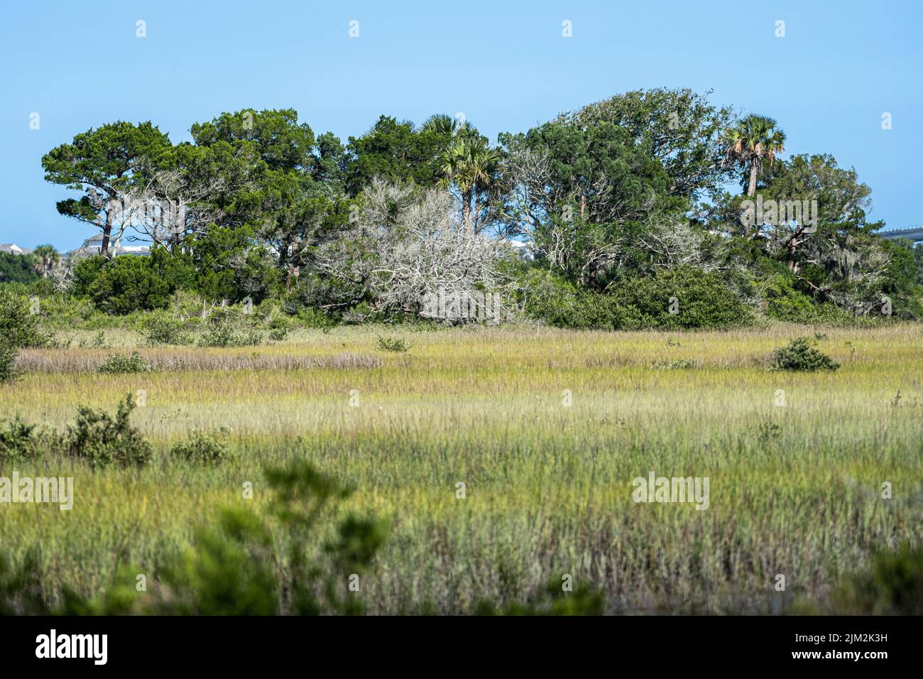 Sito storico di Fort Mose II, un insediamento africano nero libero per gli schiavi fuggiti, a St. Augustine, Florida, al Fort Mose Historic state Park. (USA) Foto Stock