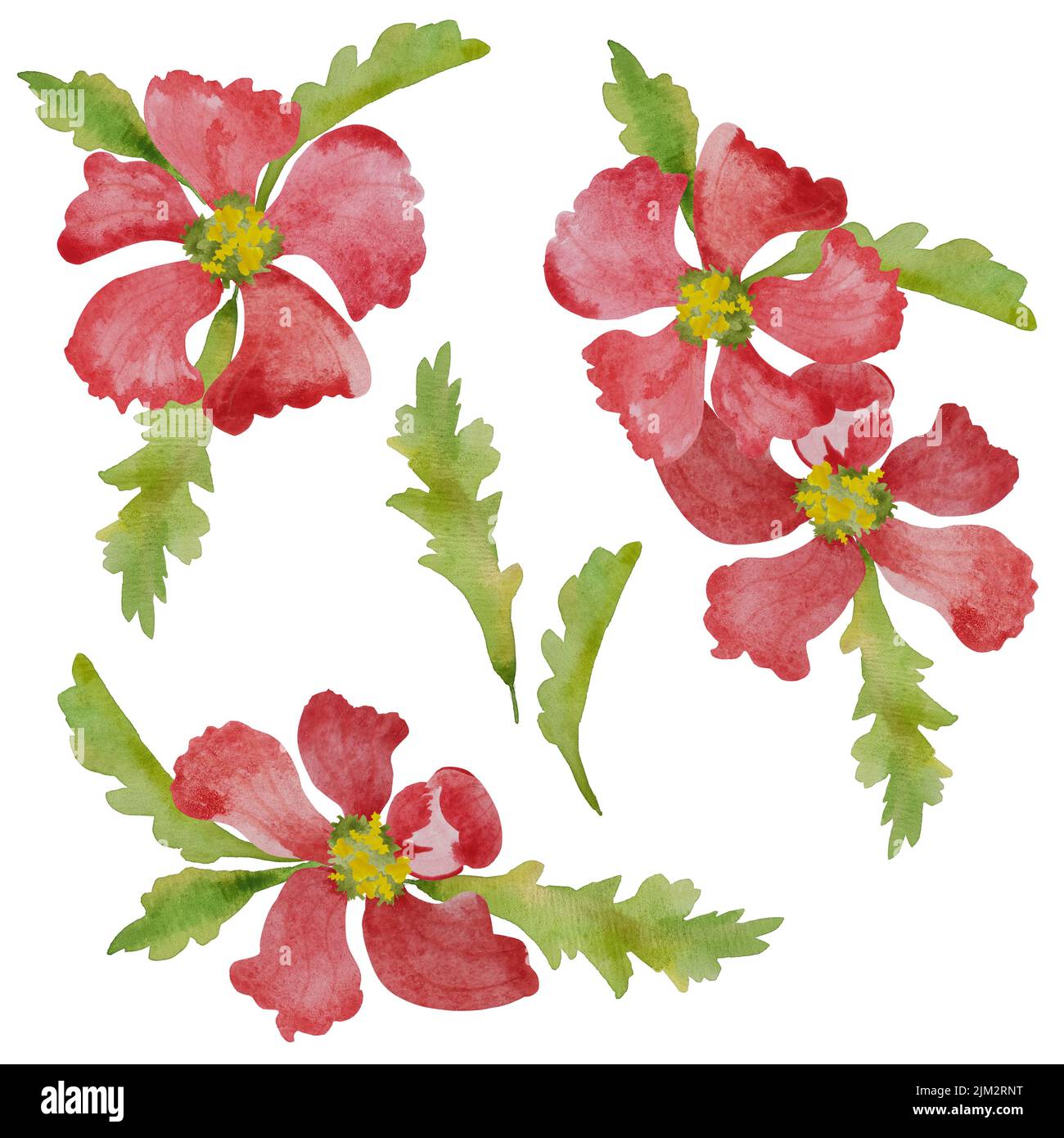 Set di corone con vernice acquerello fiori rossi Foto Stock