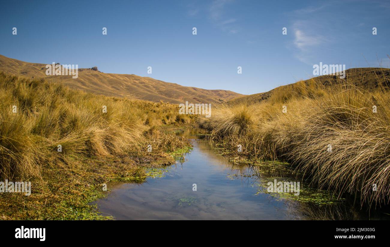fiume vicino cespugli gialli con montagne sullo sfondo e cielo blu in yanaoca, cusco, perù Foto Stock