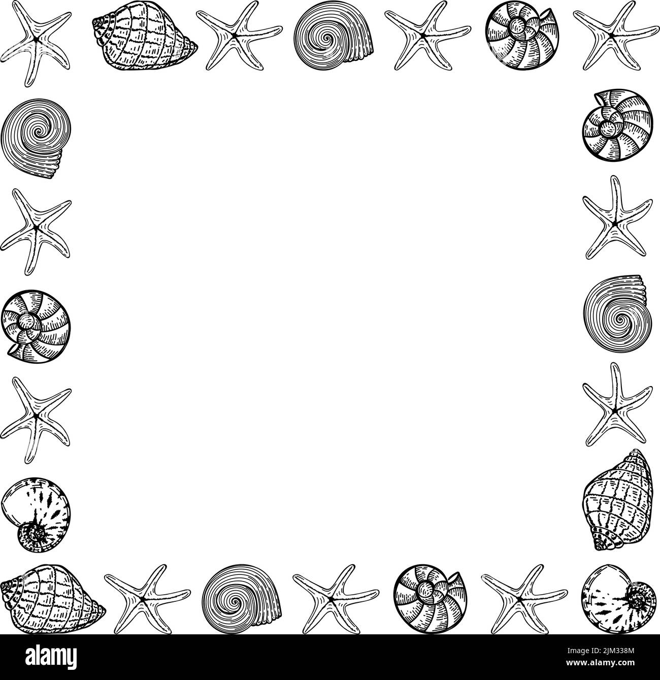 Modello banner in stile nautico. Conchiglie e stelle marine disegnate a mano in stile schizzo. Oceano. Modello per pubblicità o volantino a tema nautico Illustrazione Vettoriale