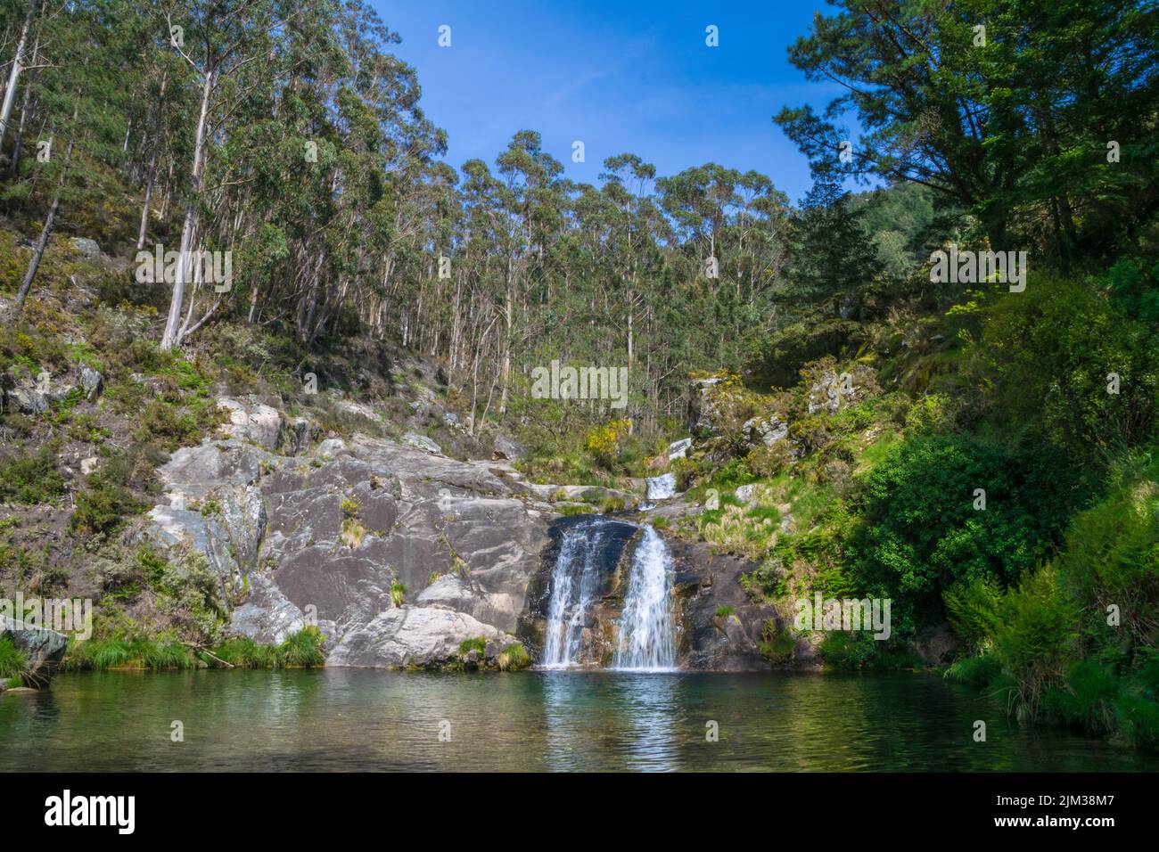 Vista di una splendida cascata in una foresta. Mougas - Oia - Spagna Foto Stock