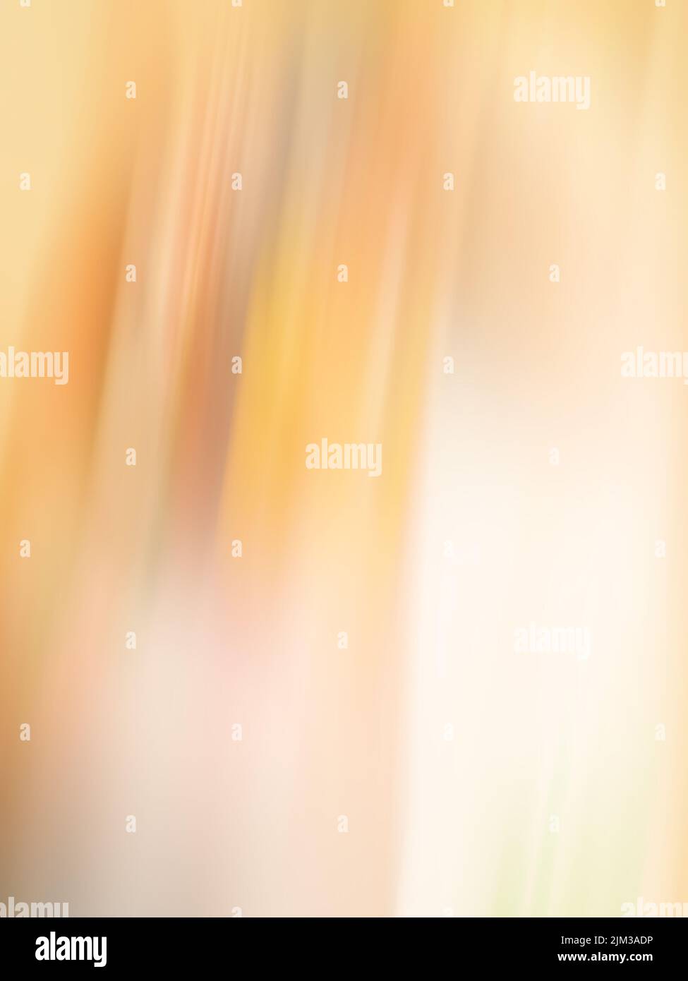 Bokeh di lusso beige con glitter sfocato senza messa a fuoco texture. Color crema pastello sfumatura bokeh sfondo. Foto Stock