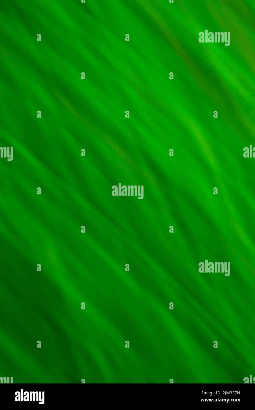 texture verdi sfocate con il movimento della fotocamera in natura Foto Stock