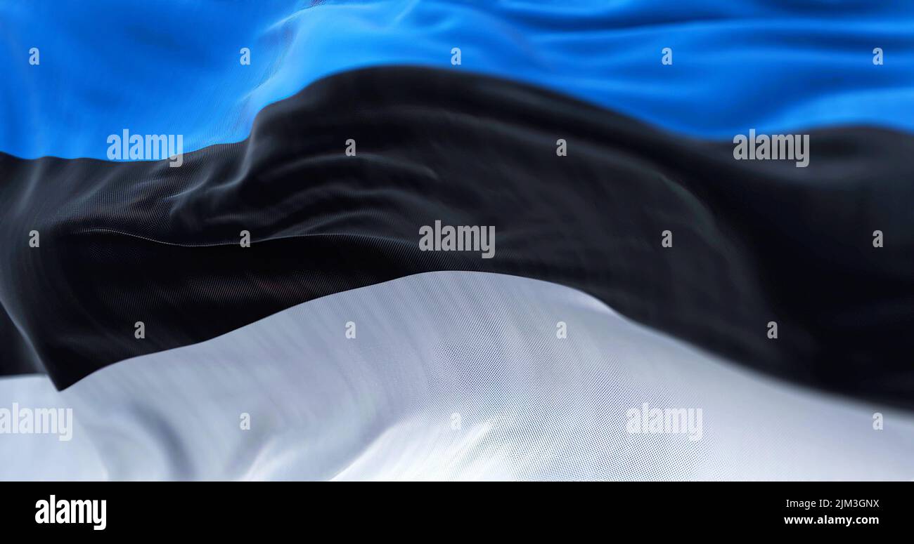 Vista ravvicinata della bandiera nazionale estone che sventola nel vento. L'Estonia è un paese dell'Europa settentrionale. Tessuto testurizzato sfondo. Messa a fuoco selettiva Foto Stock