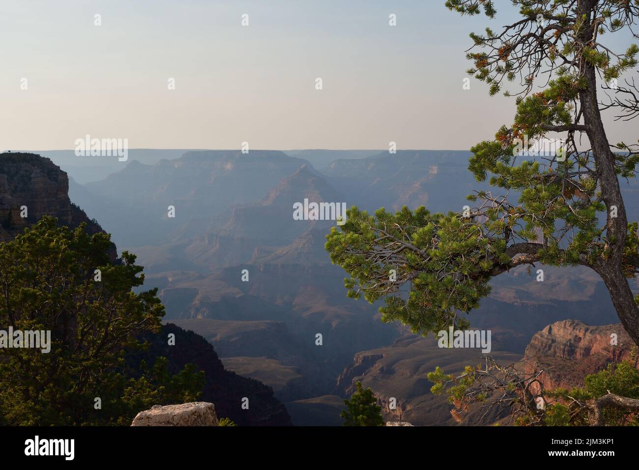 La splendida vista delle enormi formazioni rocciose nel Parco Nazionale del Grand Canyon. Arizona, Stati Uniti. Foto Stock