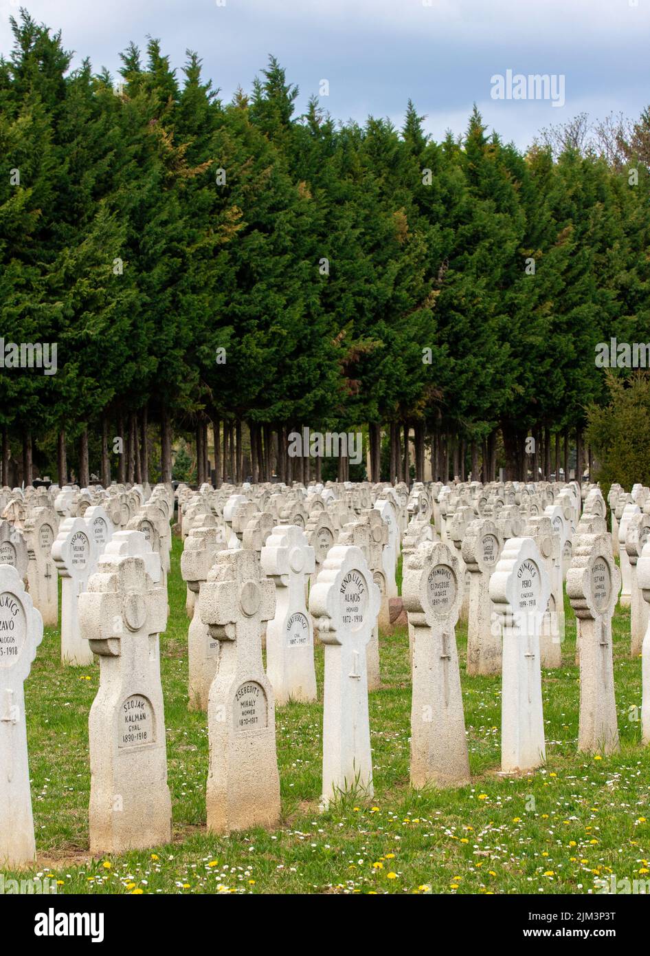 Una verticale di lapidi di veterani della prima guerra mondiale nel cimitero di Pecs, Ungheria Foto Stock