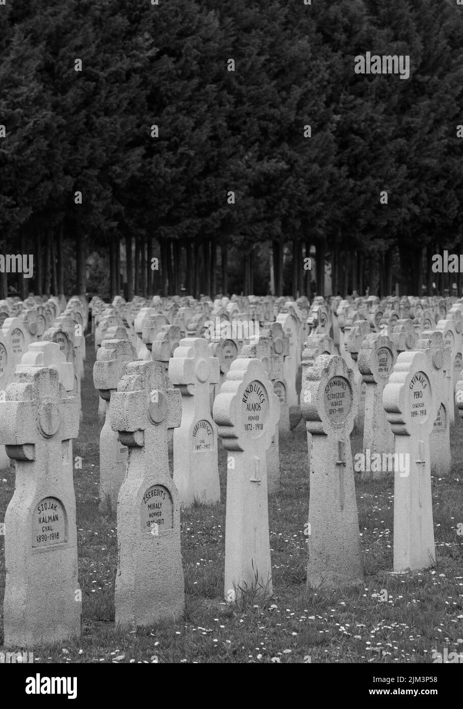 Un colpo verticale di lapidi di soldati uccisi nella prima guerra mondiale nel cimitero di Pecs - Ungheria. Memoria eterna Foto Stock