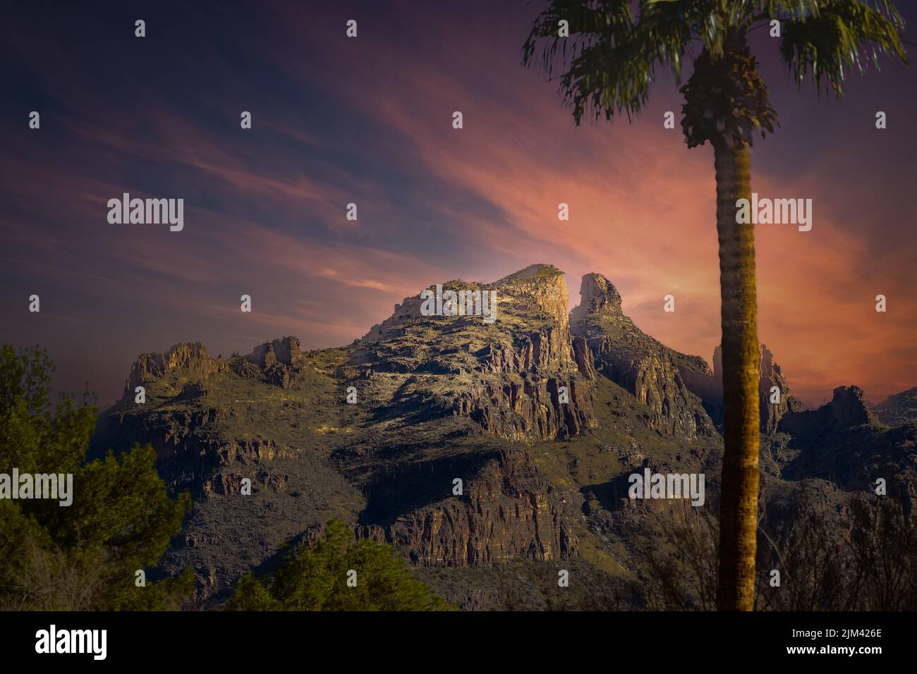 LA CATENA MONTUOSA DI SANTA CATALINA CON UN BEL CIELO DI COLORE ROSA E UN ALBERO DI PALMA SFOCATO IN PRIMO PIANO VICINO A TUCSON ARIZONA Foto Stock