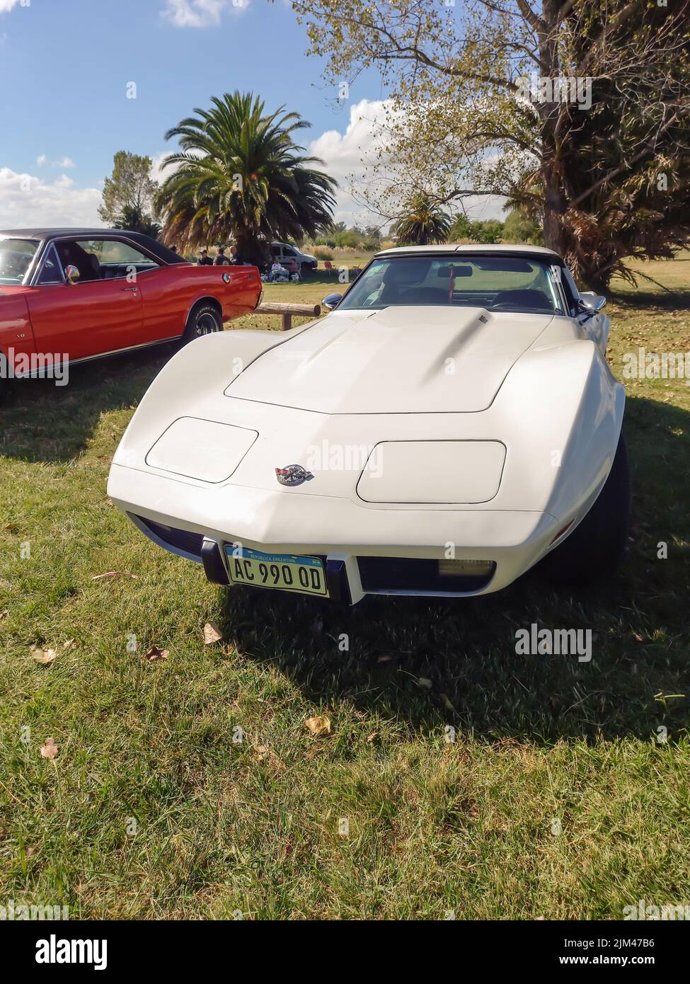 Old bianco sport Chevrolet Corvette C3 due porte convertibile 1970s da GM in campagna. Natura albero d'erba. Auto muscolare classica da corsa. Vista frontale. Foto Stock