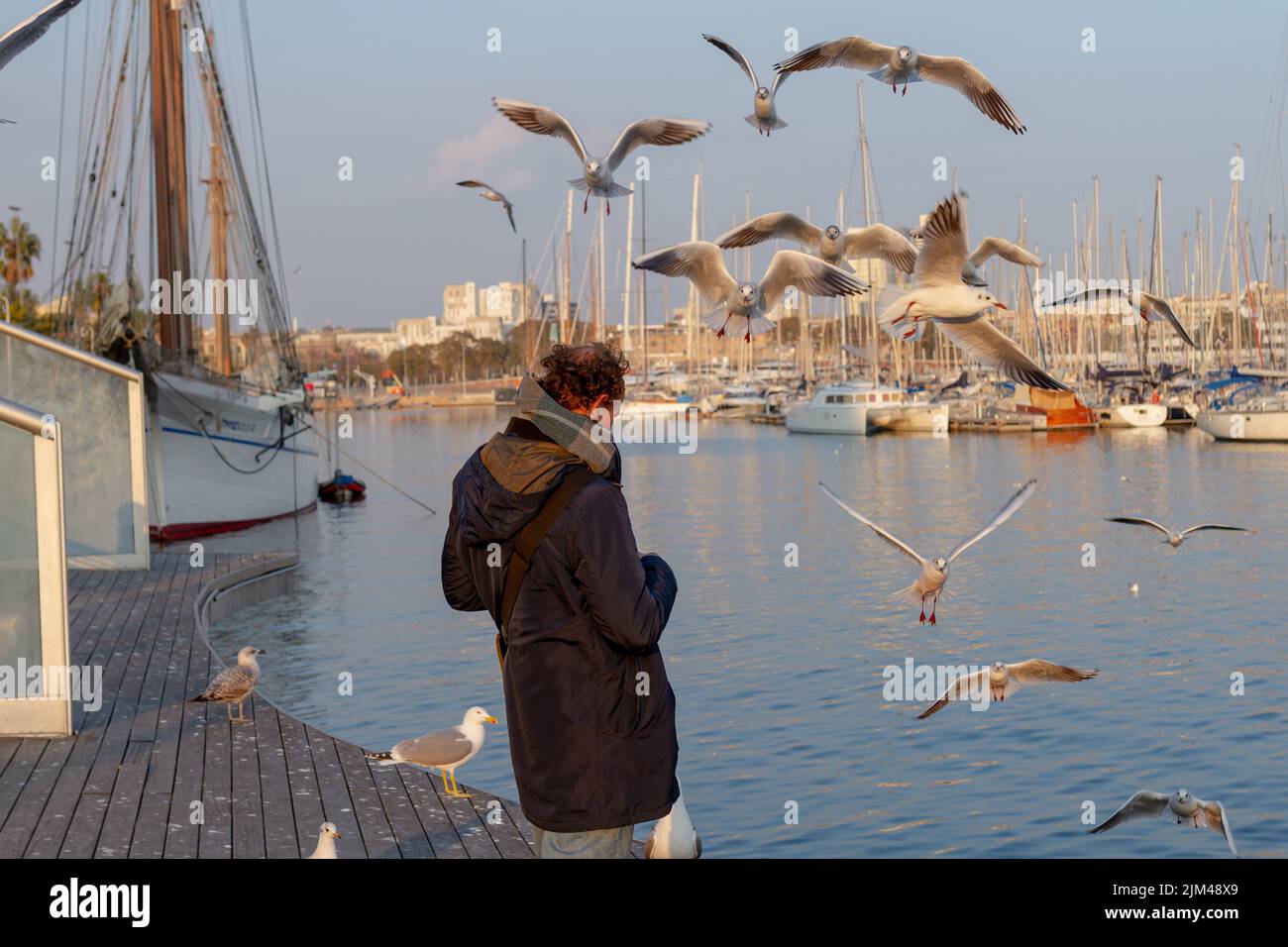 Barcellona, Spagna- 19 gennaio 2022: Uomo che alimenta gabbiani nel porto di Barcellona (Spagna), approccio selettivo all'uomo. Foto Stock