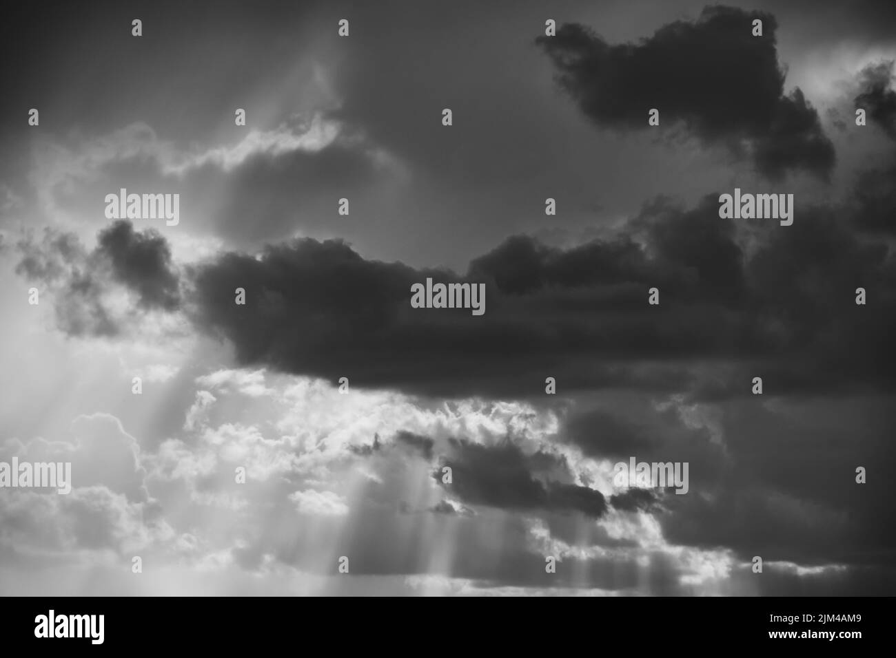 Le nuvole di Cumulus sono illuminate dalla luce solare contornata in bianco e nero Foto Stock