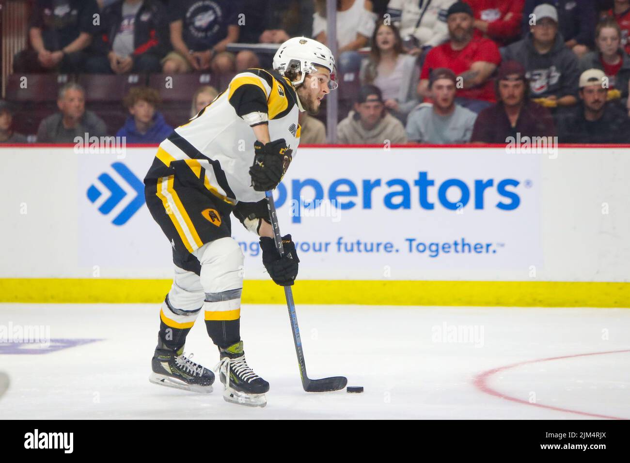 Giugno 13 2022 Windsor Ontario Canada, Windsor Spitfirks ha battuto l'Hamilton Bulldogs 5-2 per forzare un gioco 7 (solo editoriale). Mason McTavish(23) del Prato Foto Stock