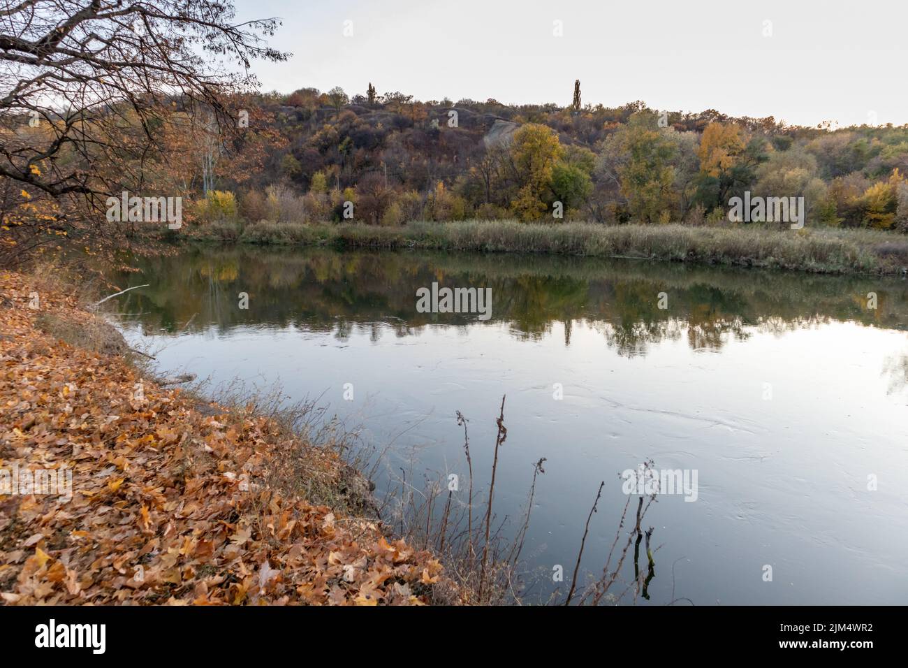 Paesaggio autunnale. Colori luminosi di autunno vicino al fiume. Alberi autunnali multicolore al sole sulla riva del fiume. Foto Stock