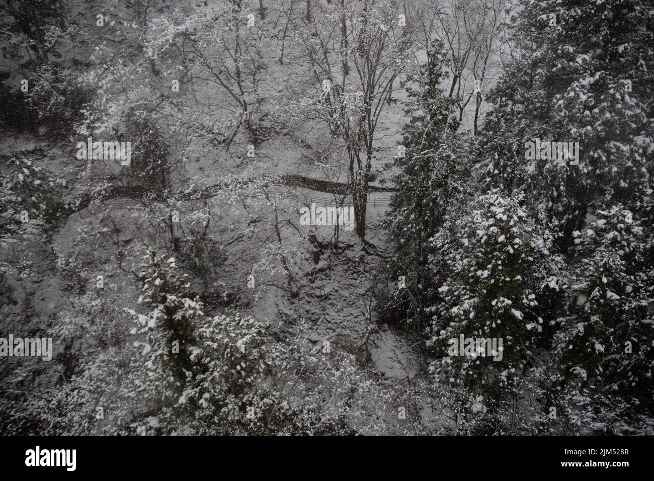 Nevicate in montagna a Nagano, Giappone. Foto Stock