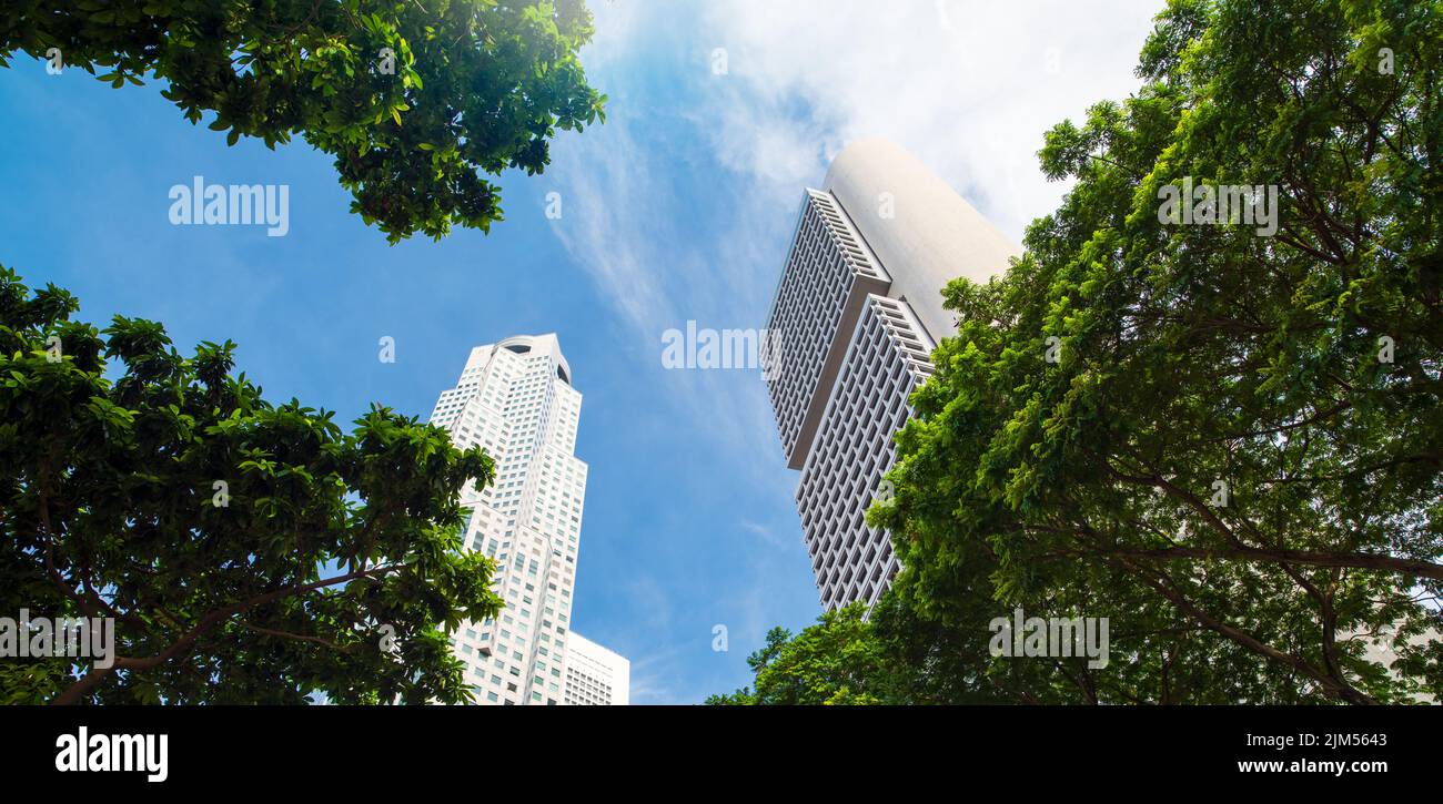 Alberi verdi freschi ed edifici urbani. Prospettiva esterno pareti modello edifici moderni con foglie di alberi verdi Foto Stock