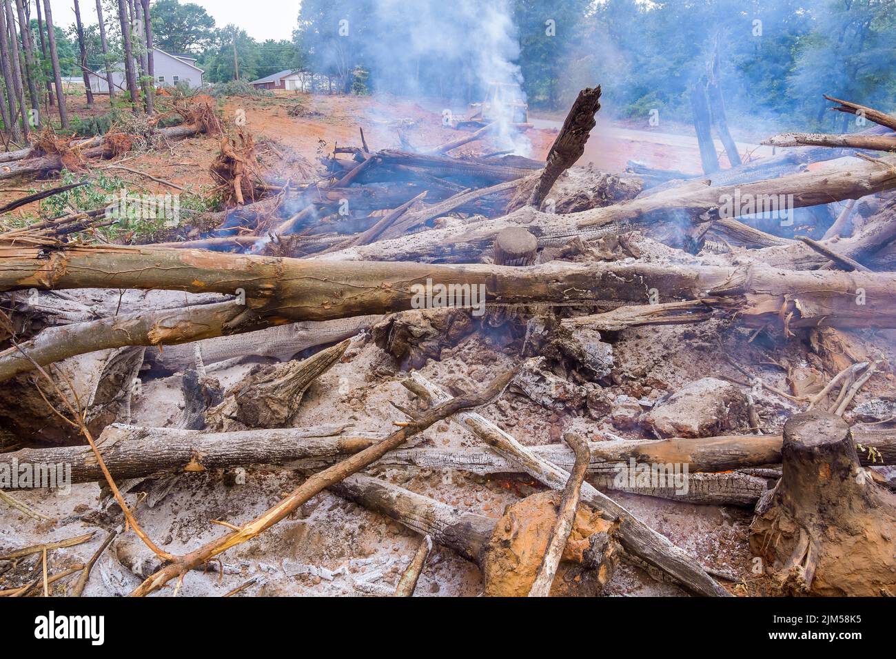 Le foreste vengono sradicate durante il processo di sviluppo dei terreni per la costruzione, e poi bruciate per fare il posto a un nuovo sviluppo Foto Stock