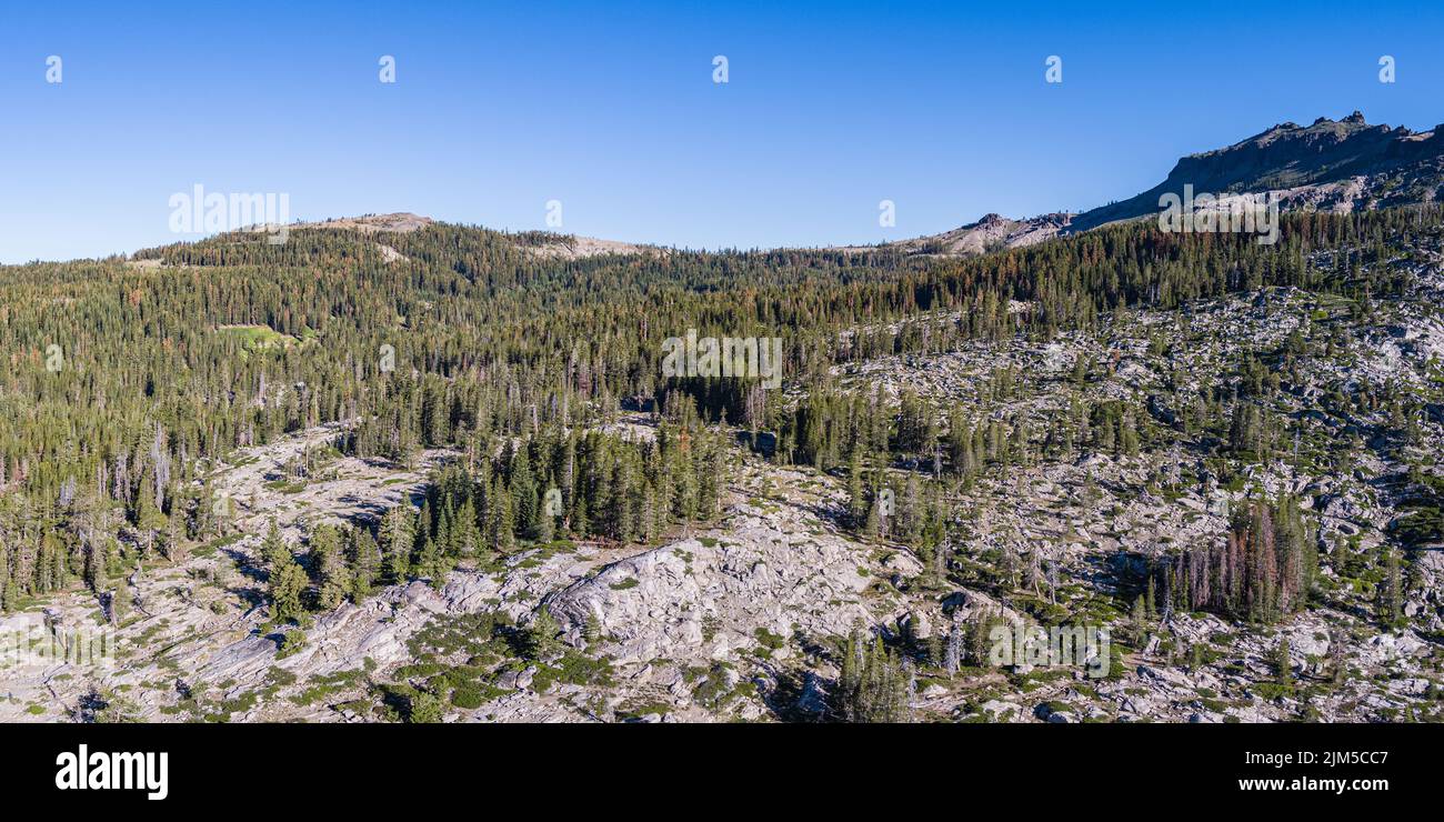 Formazioni rocciose di granito e campi di massi in mezzo alla silvicoltura nel nord della California. Foto Stock