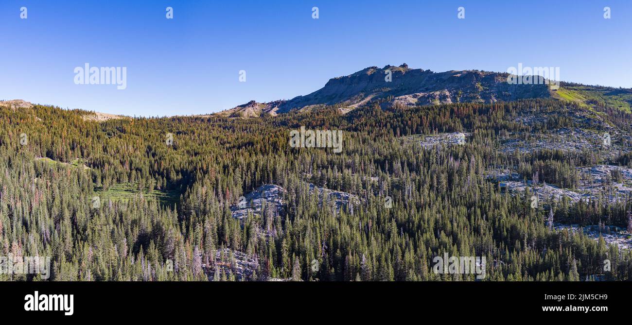 Roccia di granito e alberi di foresta sulla cima delle montagne della Sierra Nevada della California. Foto Stock