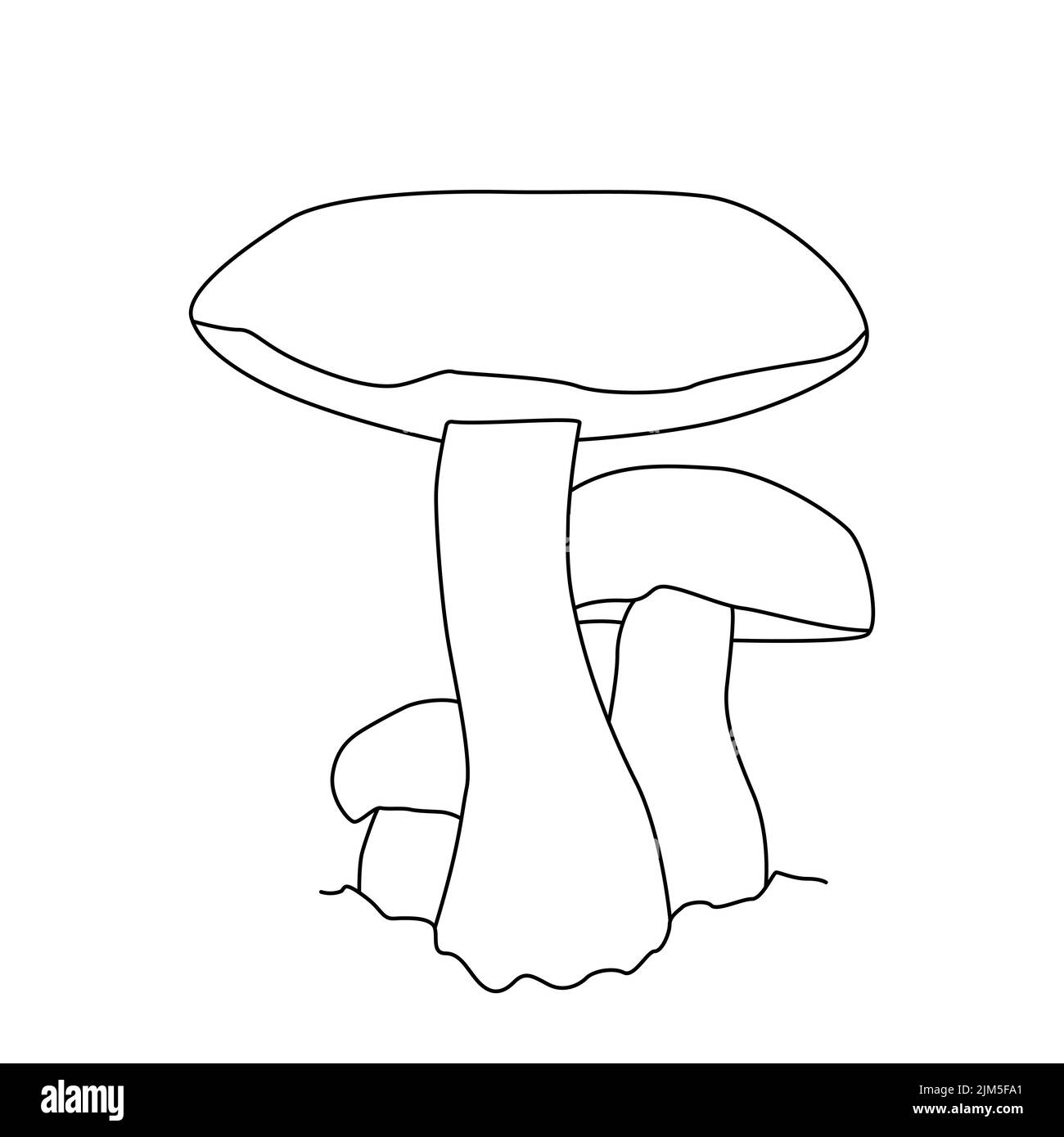 Disegno a fungo. Tatuaggio di funghi dettagliato in linea stile d'arte. Clip art. Bianco e nero Illustrazione Vettoriale