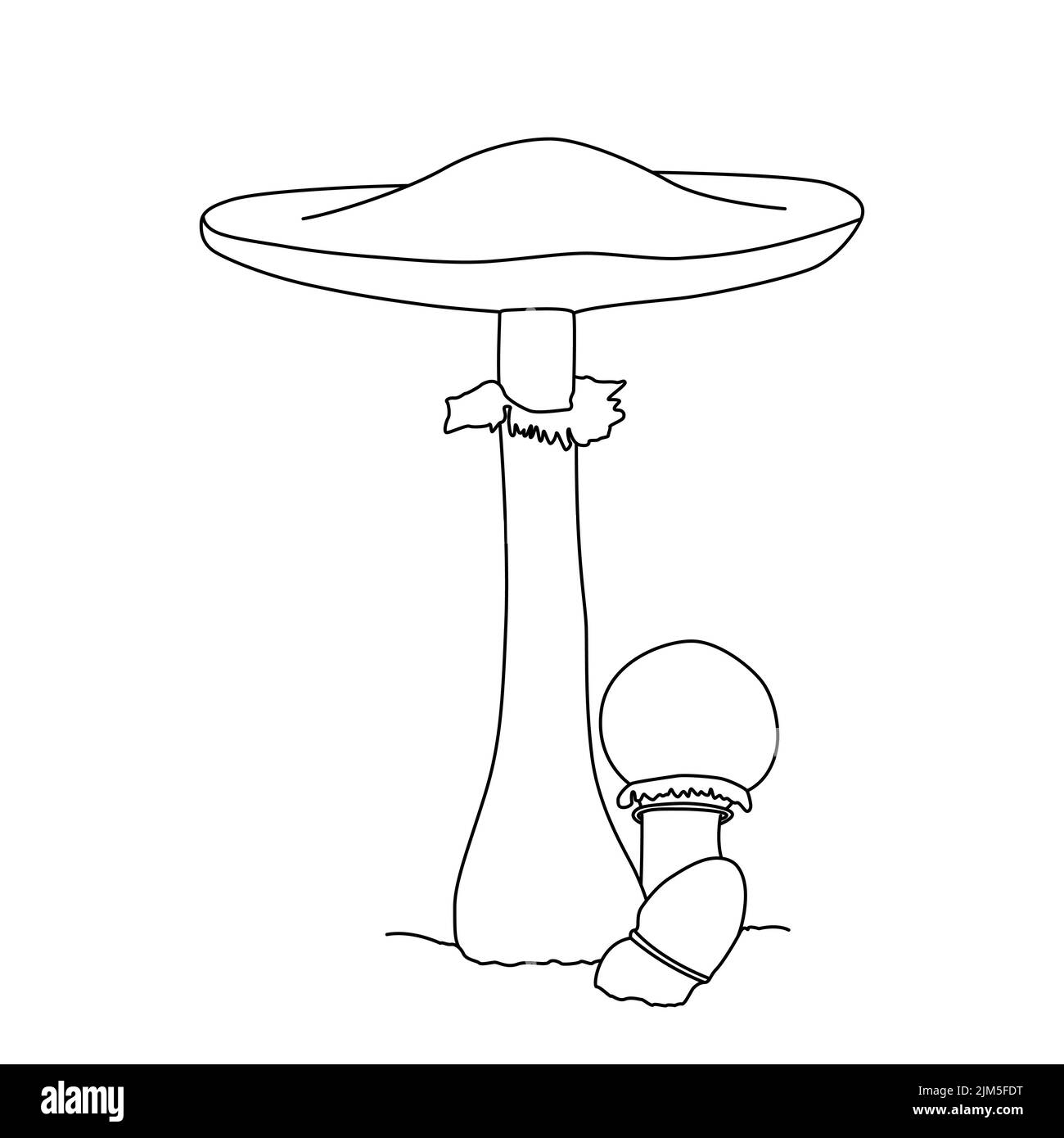 Disegno a fungo. Tatuaggio di funghi dettagliato in linea stile d'arte. Clip art. Bianco e nero Illustrazione Vettoriale