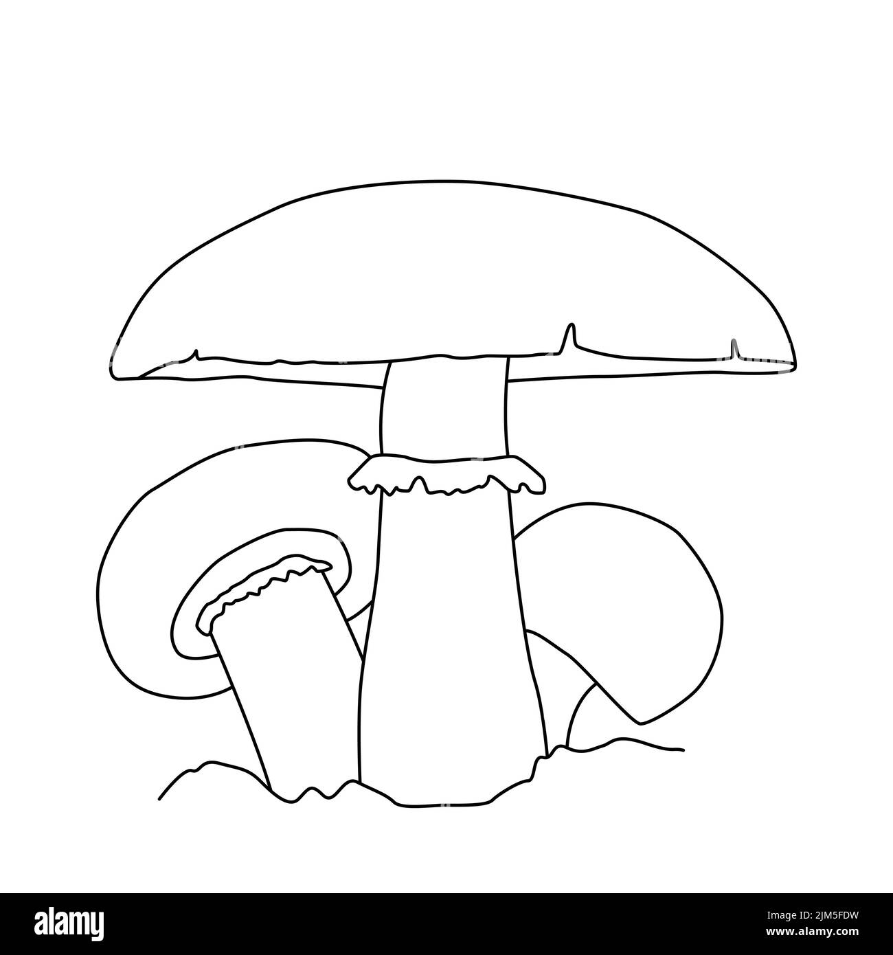 Disegno a fungo. Tatuaggio di funghi dettagliato in linea stile d'arte. Clip art. Bianco e nero Illustrazione Vettoriale