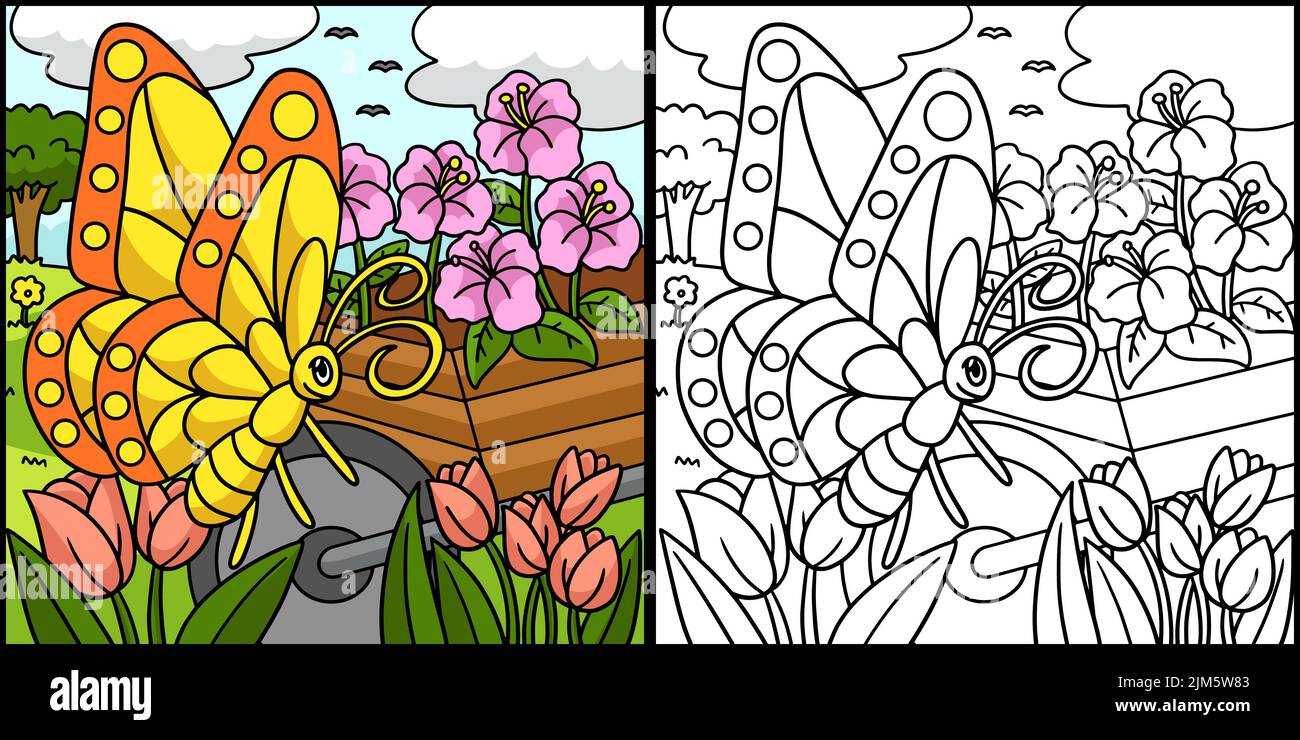 Butterfly Coloring pagina Illustrazione colorata Illustrazione Vettoriale