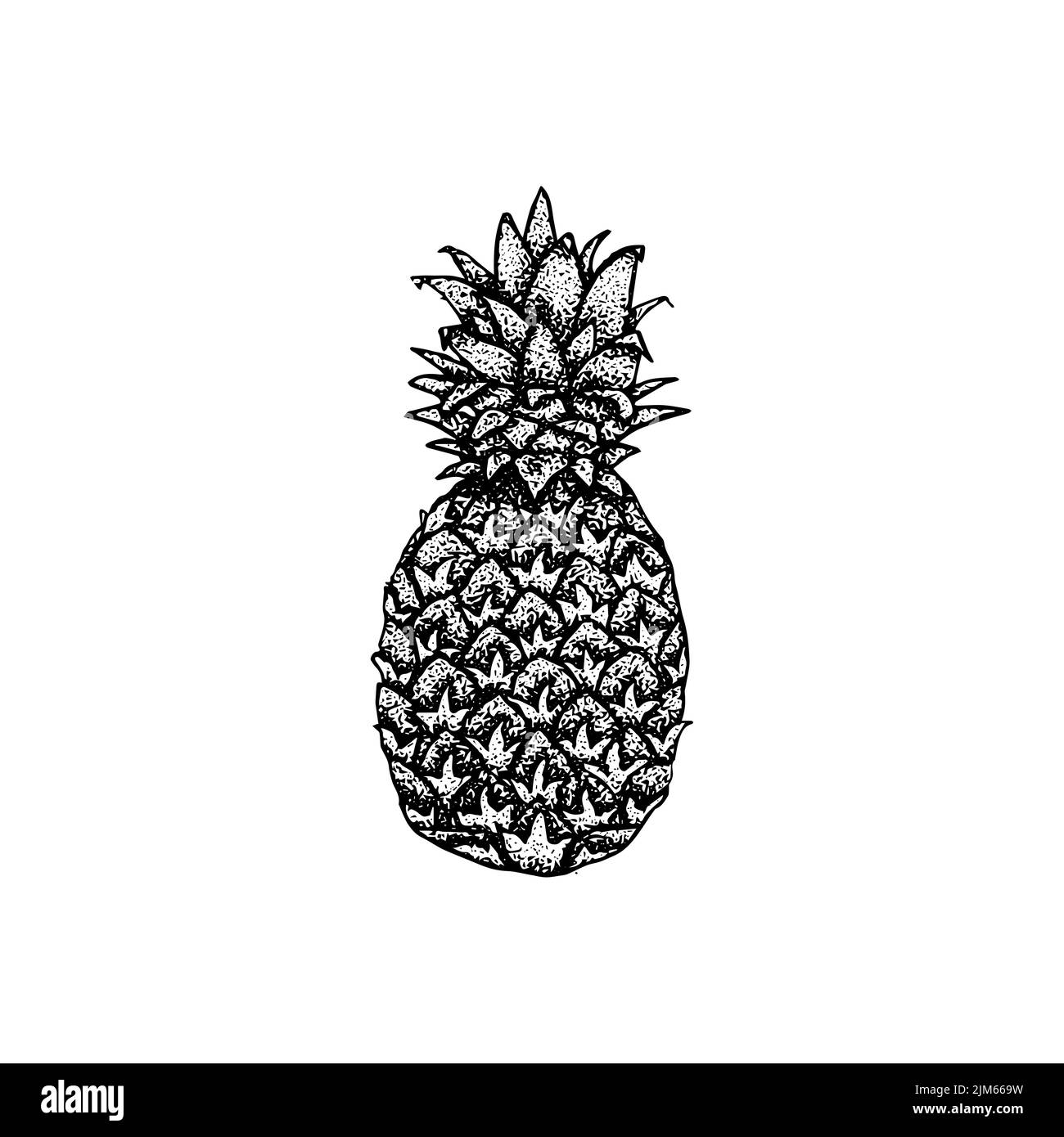 Disegno di ananas Dotwork. Illustrazione vettoriale degli oggetti disegnati a mano. Illustrazione Vettoriale
