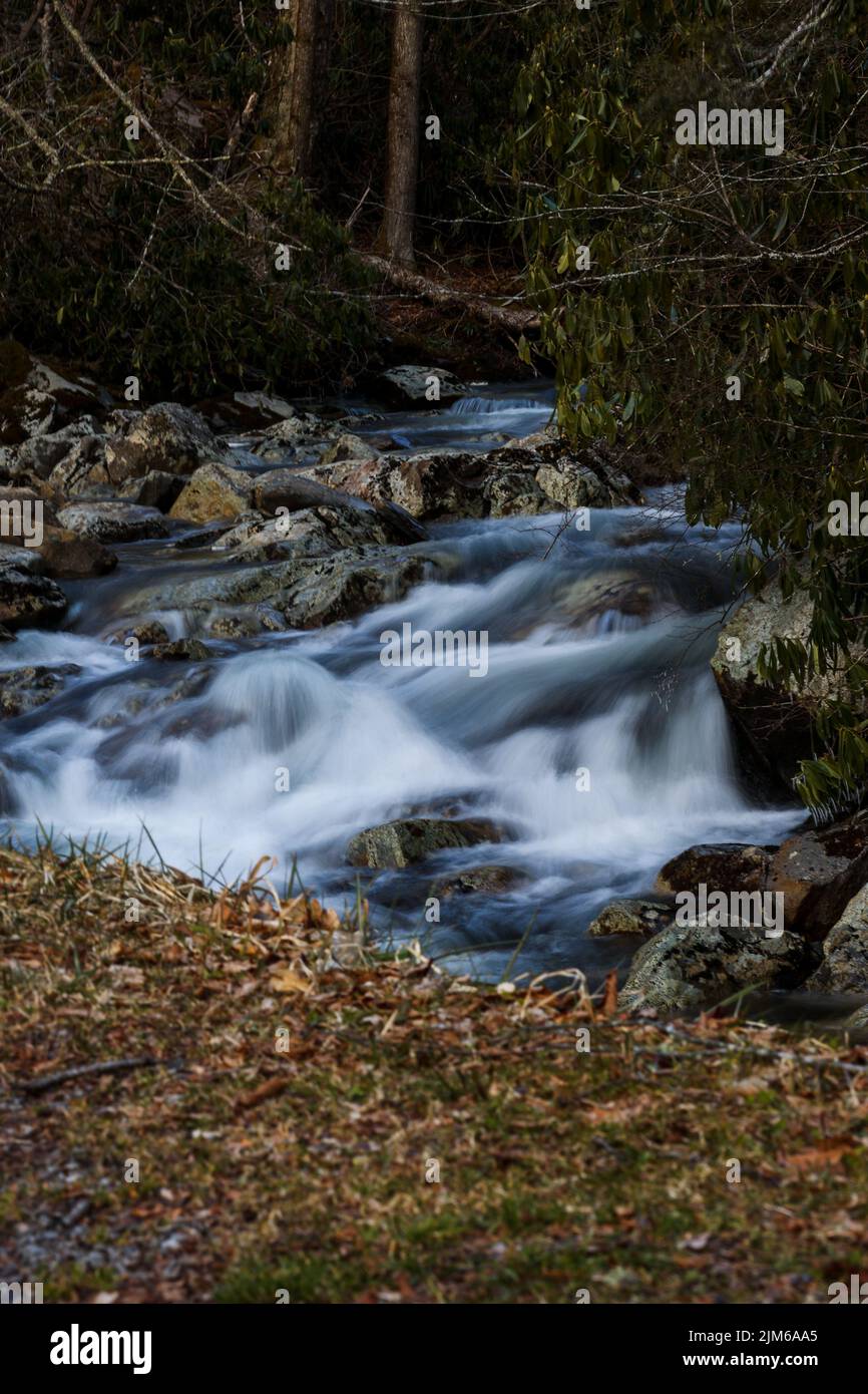 Uno scatto verticale di un ruscello che scorre attraverso una foresta, Gatlinburg bypass, Stati Uniti Foto Stock