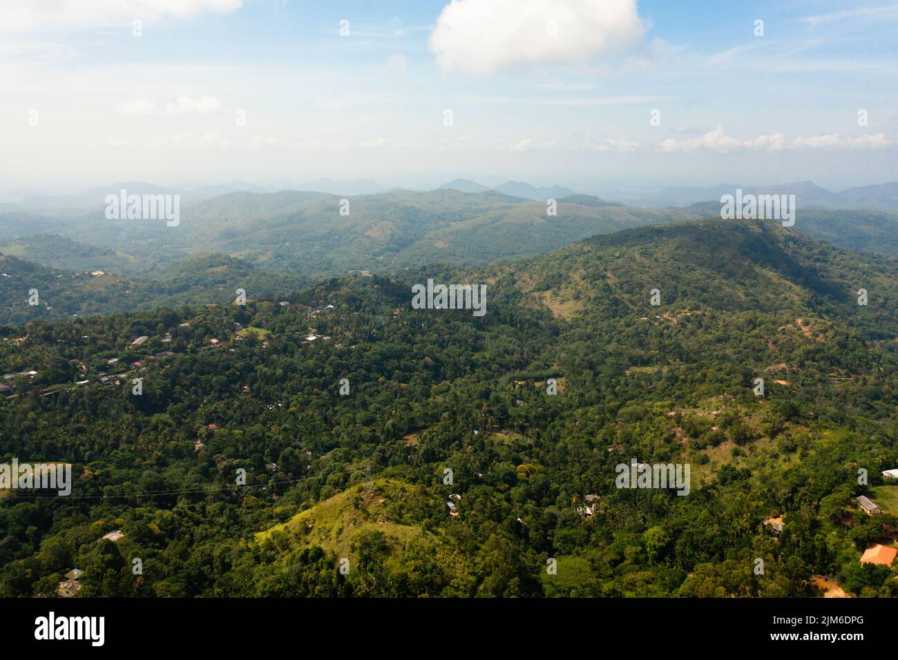 Cime di montagna coperte di foresta. Pendii di montagna con vegetazione sempreverde. Sri Lanka. Foto Stock