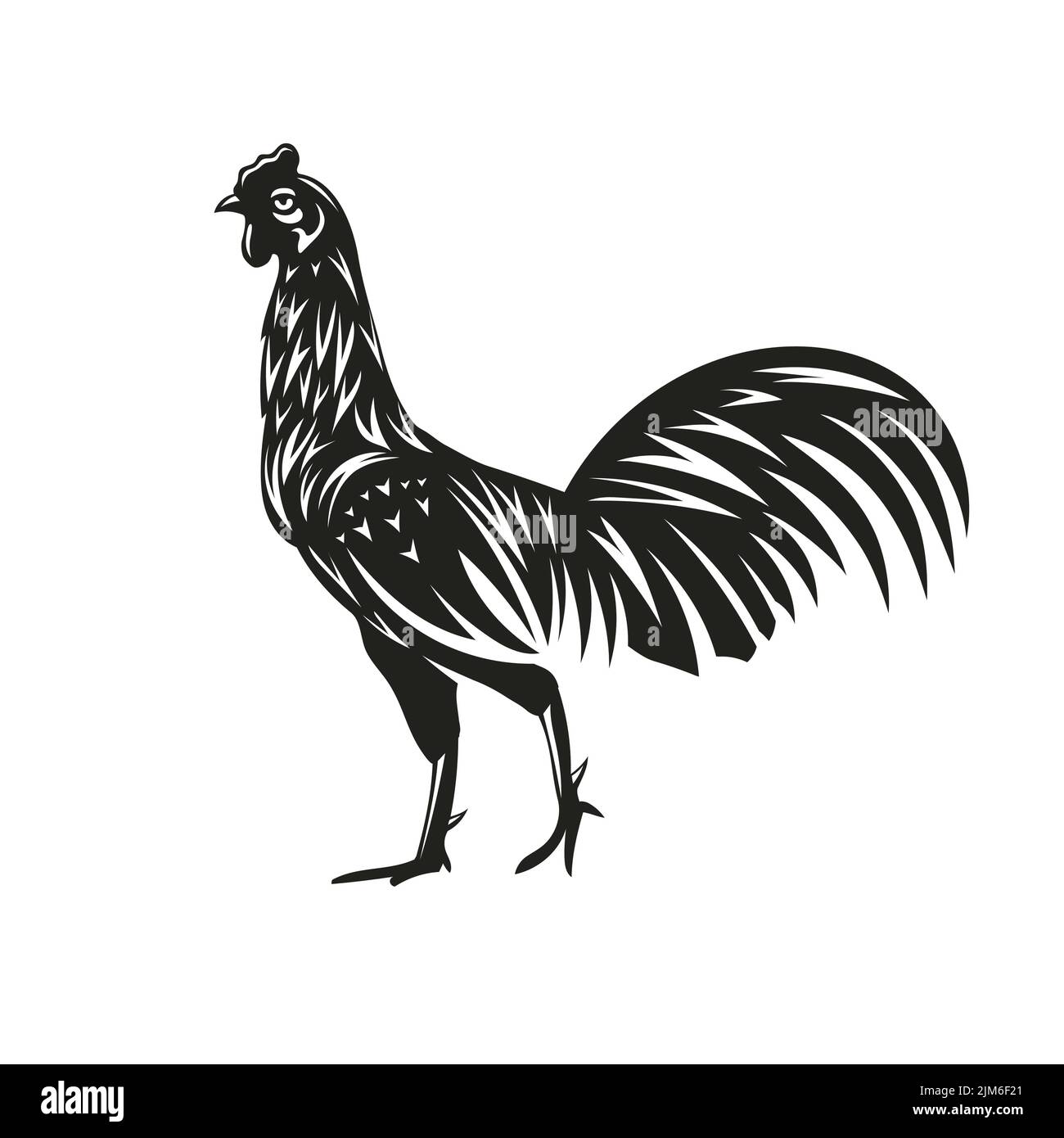 Un'illustrazione vettoriale di un pollo Illustrazione Vettoriale