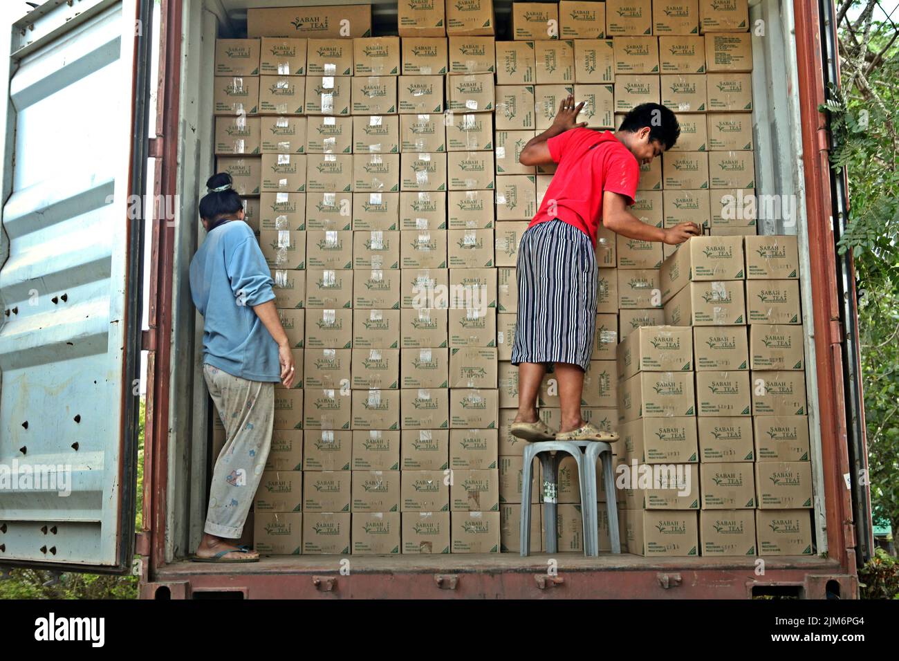 Lavoratori che organizzano scatole di carta contenenti tè Sabah per la spedizione, come si trovano in piedi all'interno di un camion container presso la fabbrica di tè Sabah, l'impianto di lavorazione per i materiali raccolti dalla fattoria di tè biologico, una parte del giardino del tè Sabah a Sabah, Malesia. Foto Stock