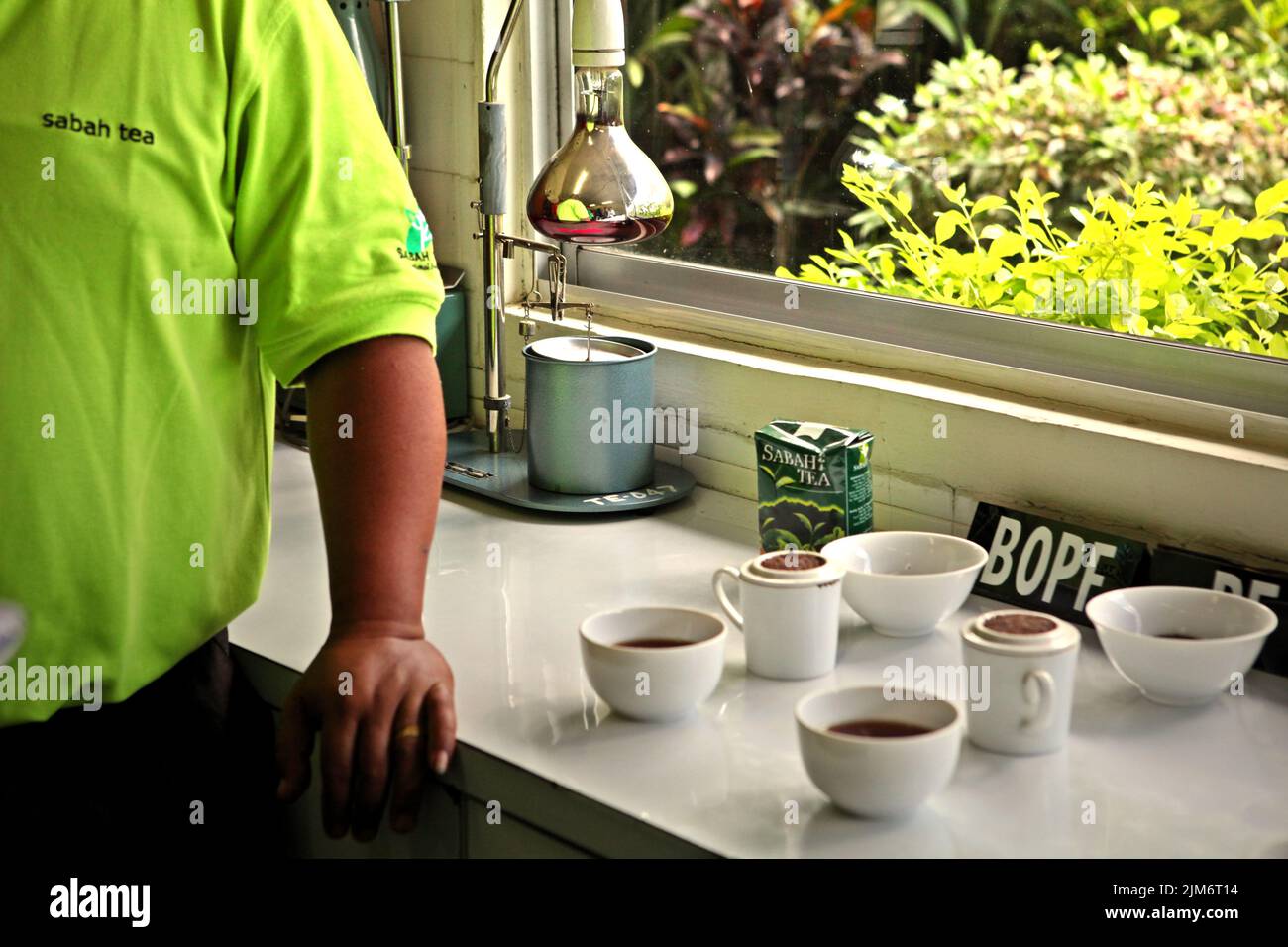 Tazze contenenti tè per il controllo di qualità presso la fabbrica di tè Sabah, l'impianto di lavorazione dei materiali raccolti dalla fattoria di tè biologico, una parte del giardino del tè Sabah a Sabah, Malesia. Foto Stock