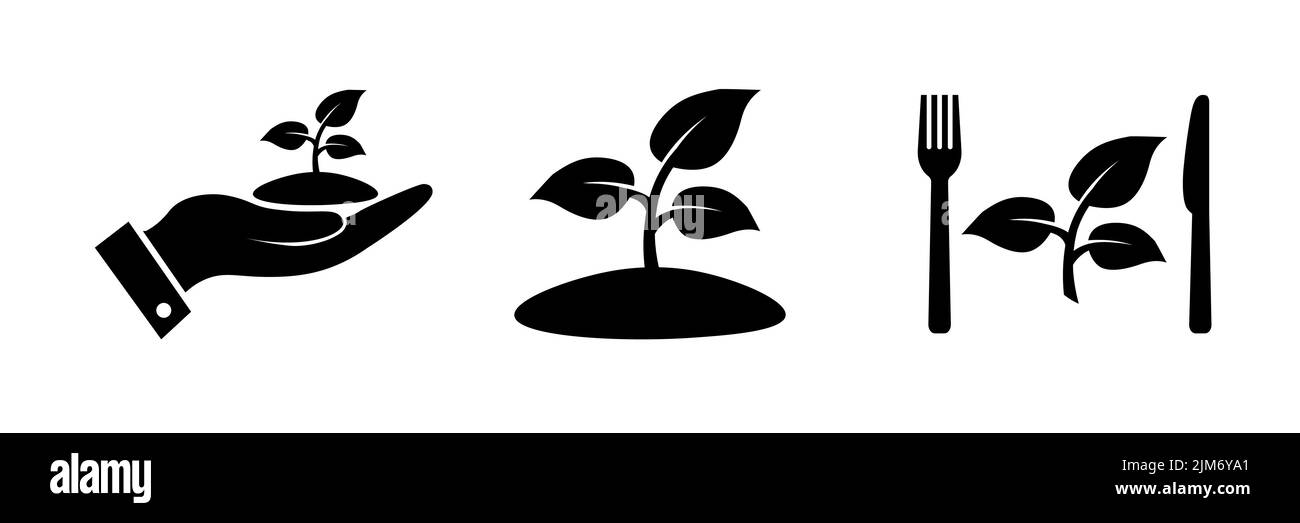 Set di icone cibo sano. Cibo fresco biologico. Vegano. Illustrazione Vettoriale