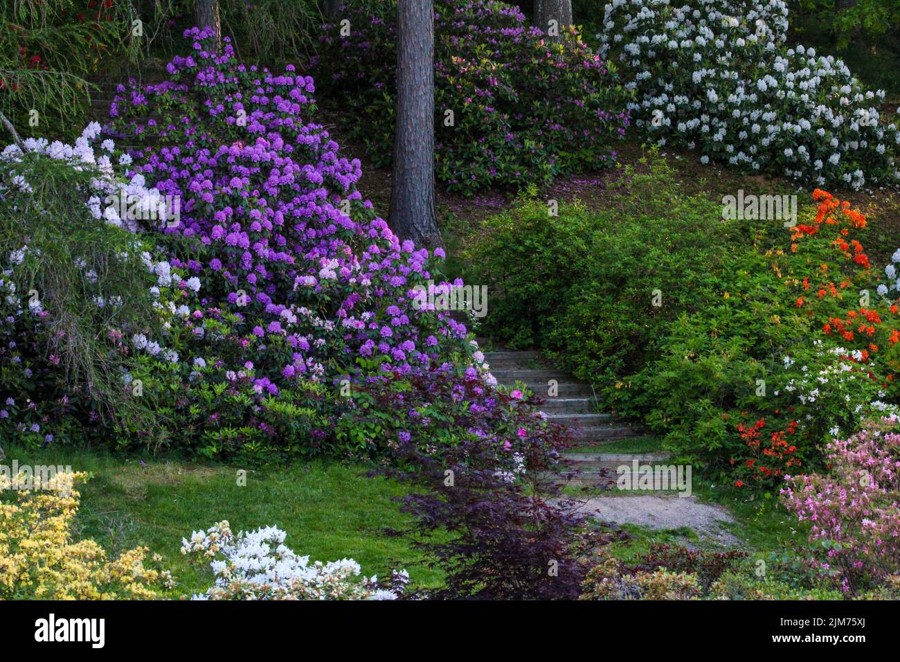 Un primo piano di un bellissimo giardino a Kentville, Canada Foto Stock