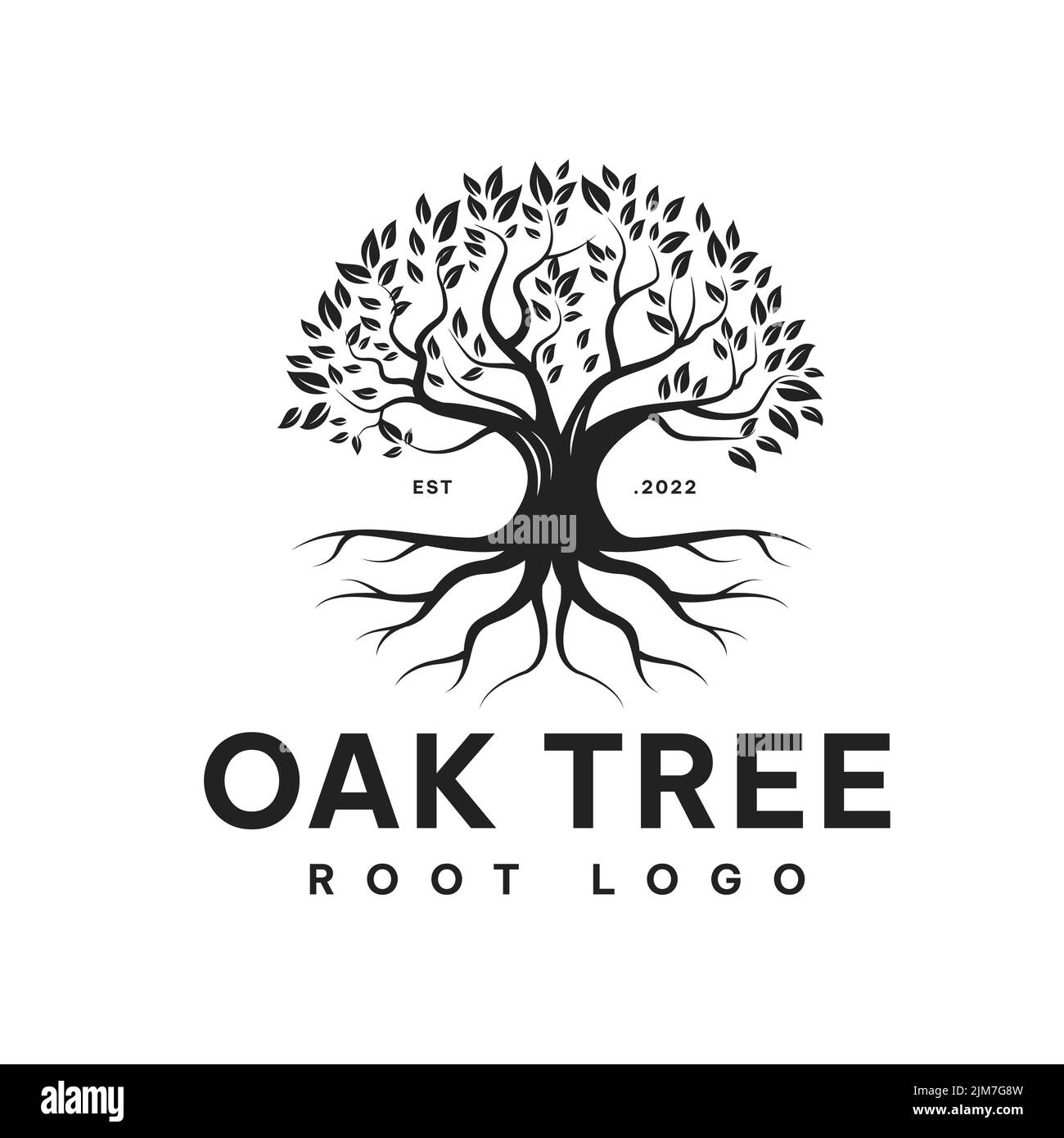 Quercia Family Tree of Life logo design Creeper radice albero, vettore, simbolo, modello Illustrazione Vettoriale
