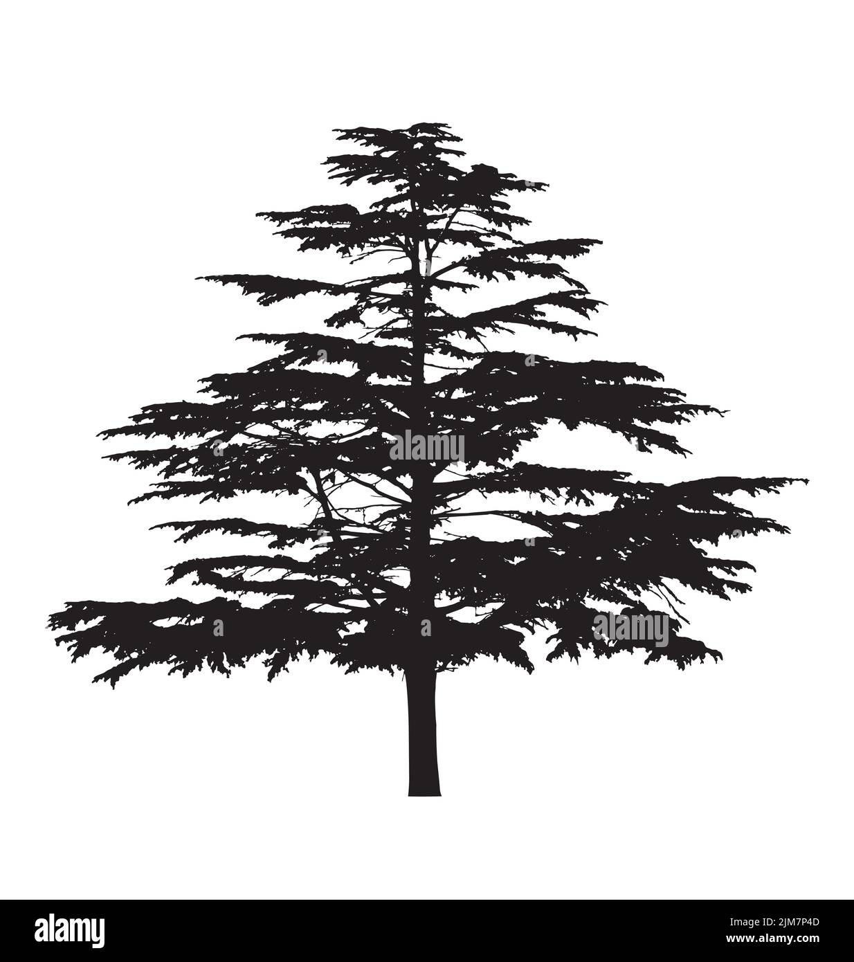 immagine vettoriale dettagliata della silhouette ad albero isolata su sfondo bianco Illustrazione Vettoriale