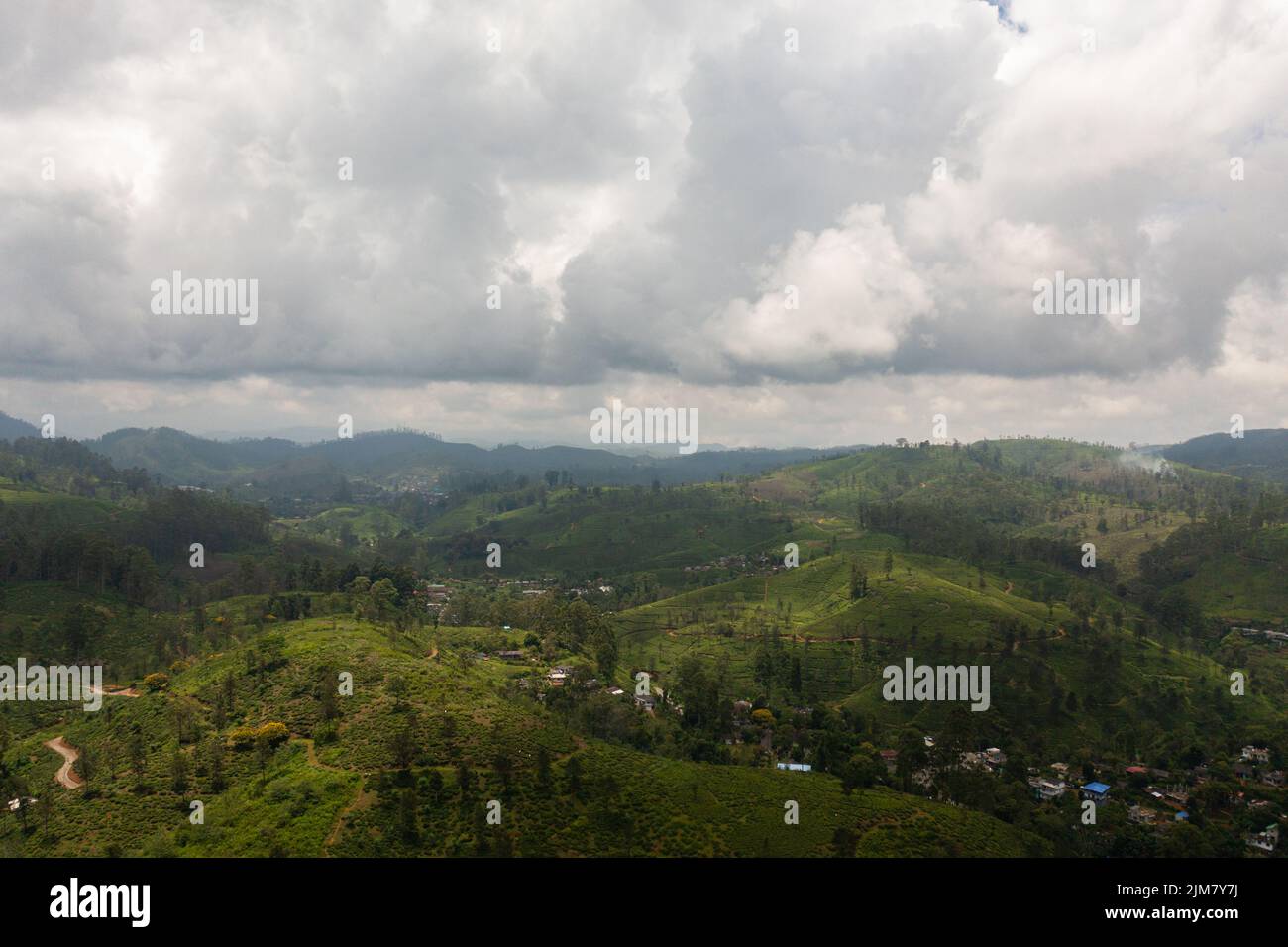 Vista aerea delle case dei contadini tra le tenute di tè in montagna. Maskeliya. Piantagioni di tè in Sri Lanka. Foto Stock