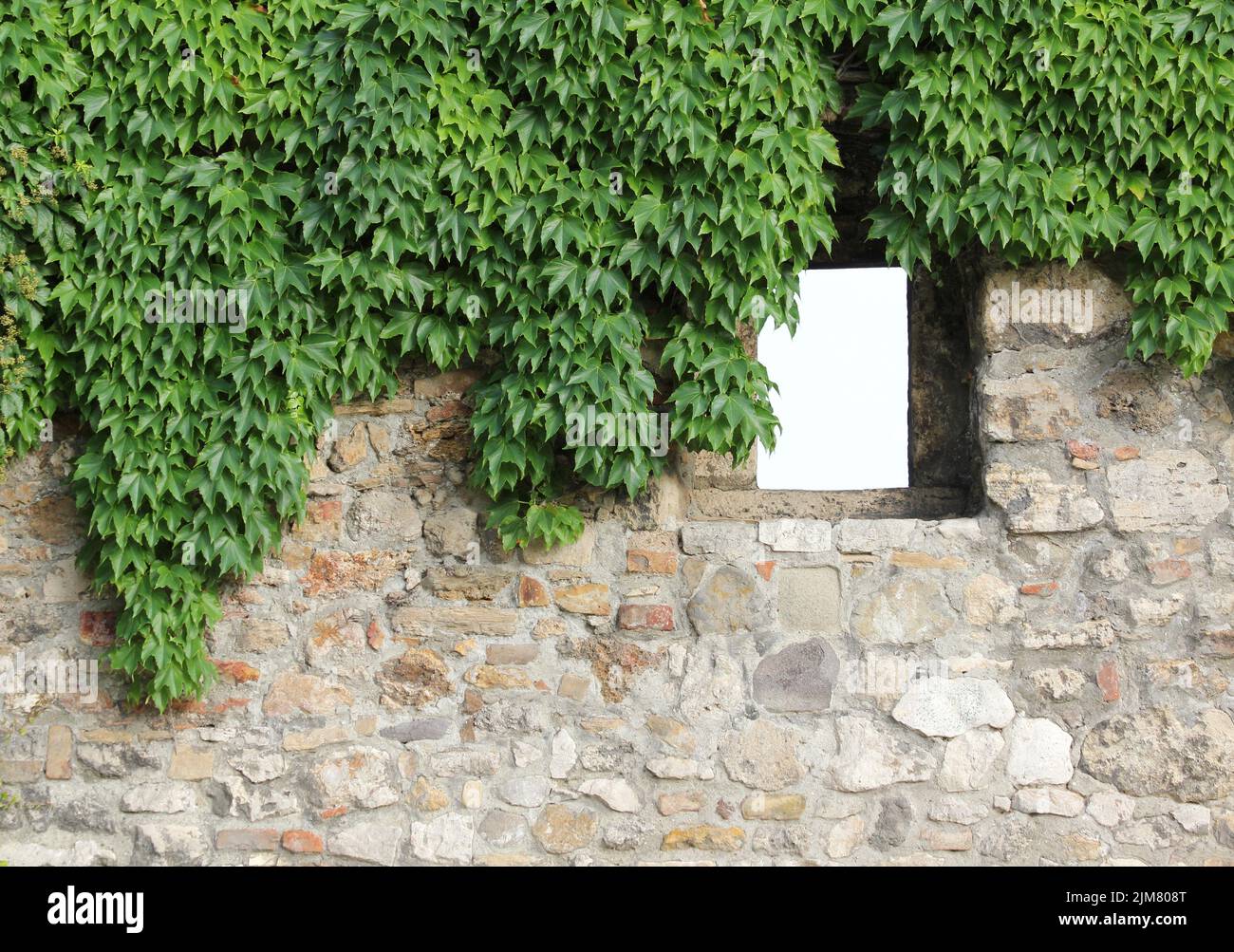 Parete del castello Foto Stock