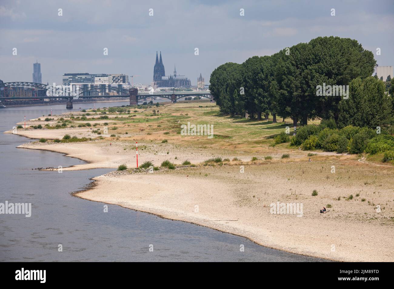 Acque basse del fiume Reno, 26 luglio 2022, rive del fiume Reno a Colonia-poll, vista sul porto Rheinau e la cattedrale, Colonia, Germania. Foto Stock