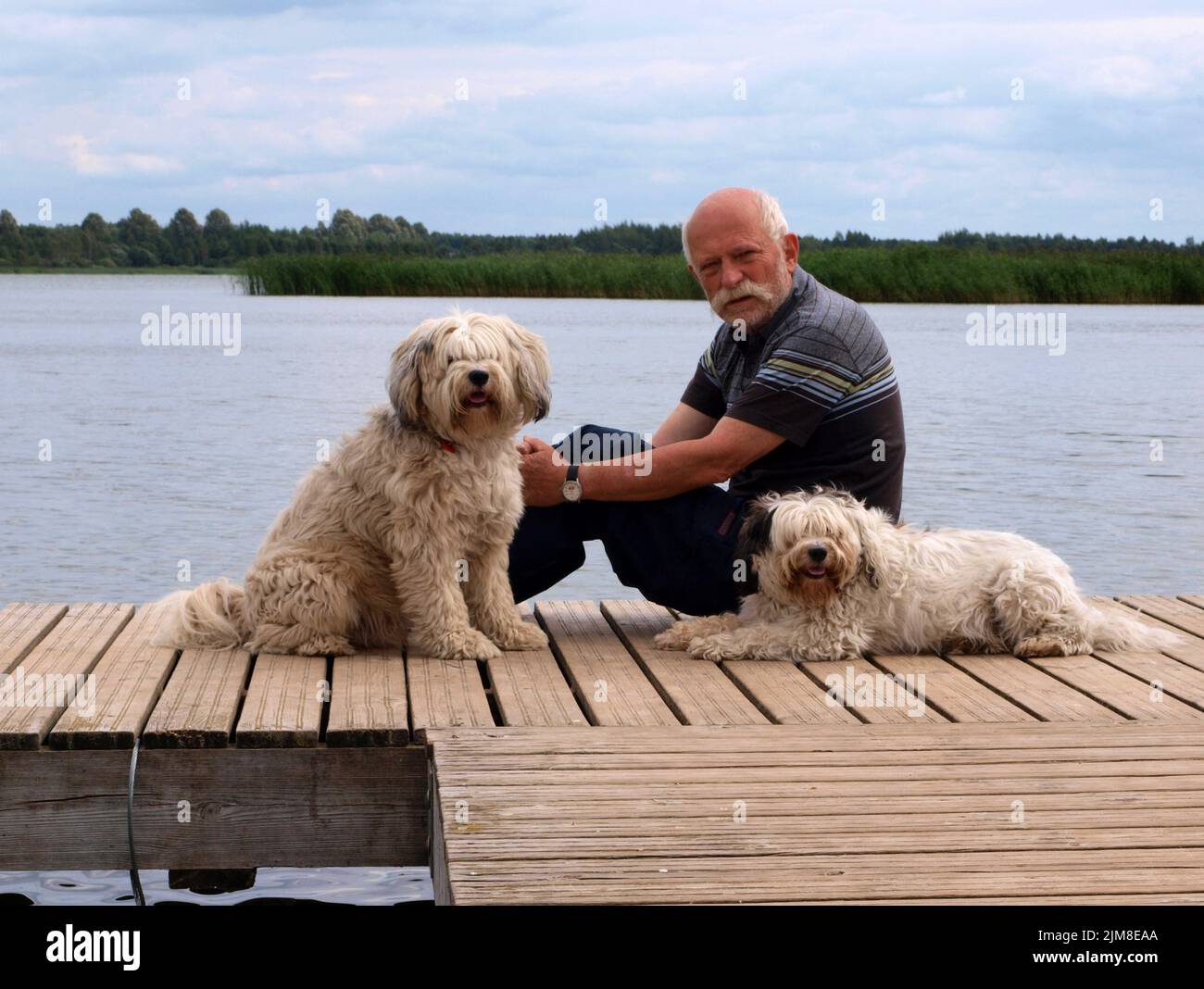 Pensionato con due cani Foto Stock