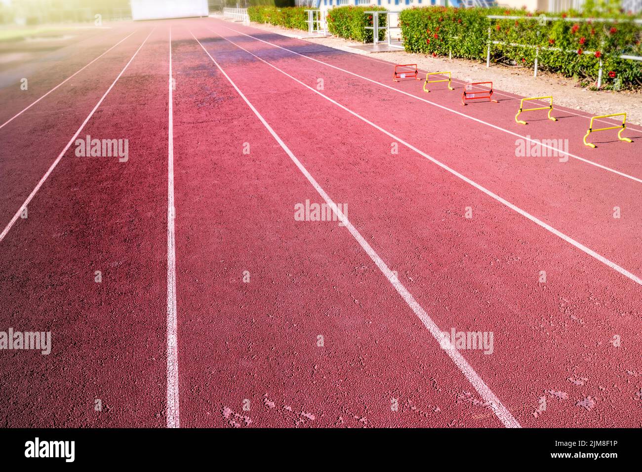 Jogger che corrono all'aperto. Concetti di salute e sport Foto Stock