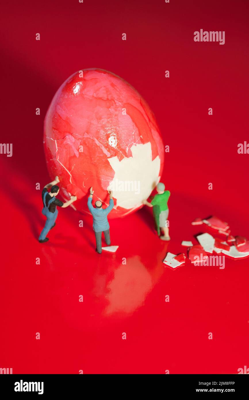 Sbucciato dall'uovo Foto Stock