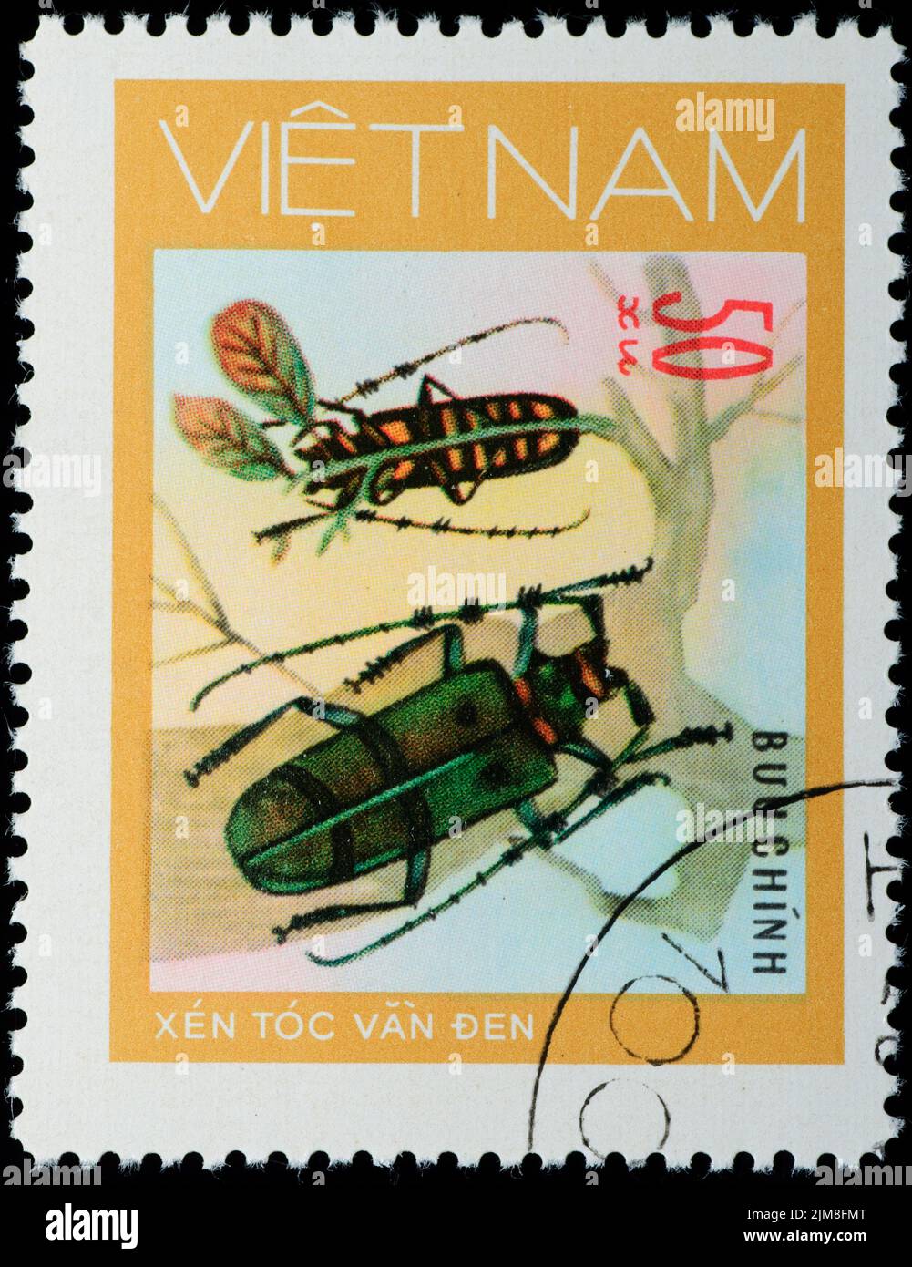 VIETNAM - CIRCA 1980s: Francobollo - animale insetto lungo scarabeo corno Foto Stock